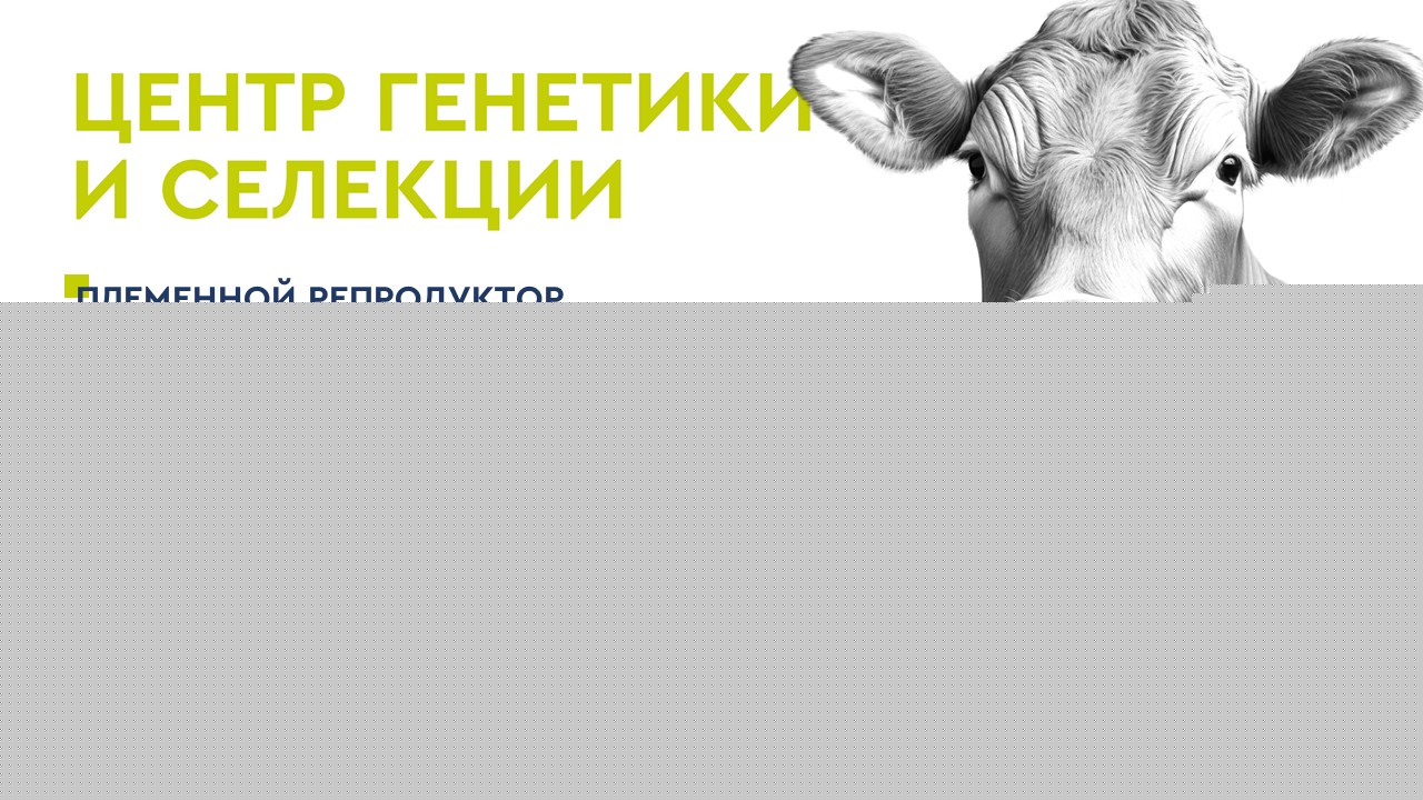 Презентация — Изображение №7 — Брендинг, Маркетинг на Dprofile