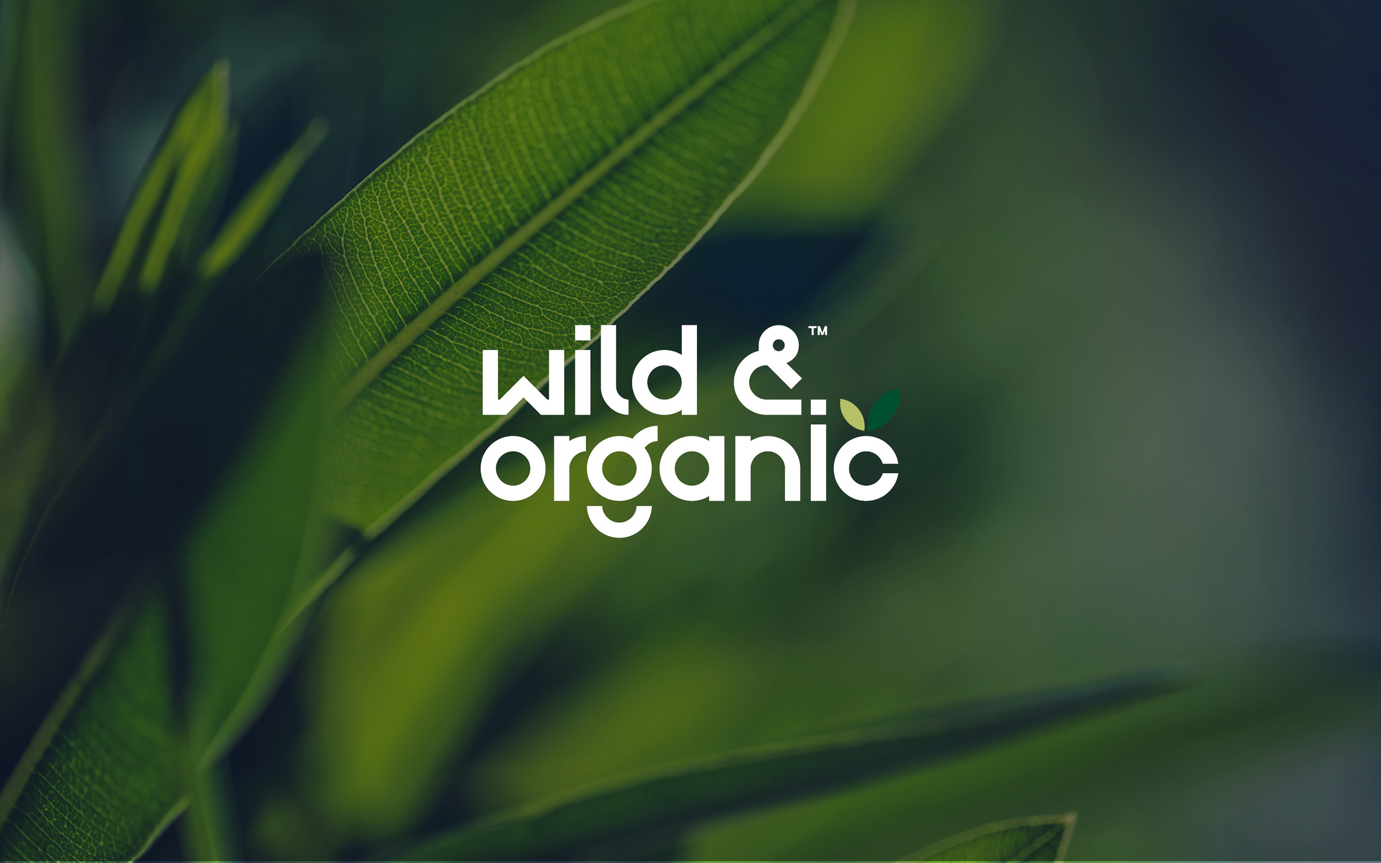 Wild & Organic supplements — Изображение №23 — Брендинг на Dprofile