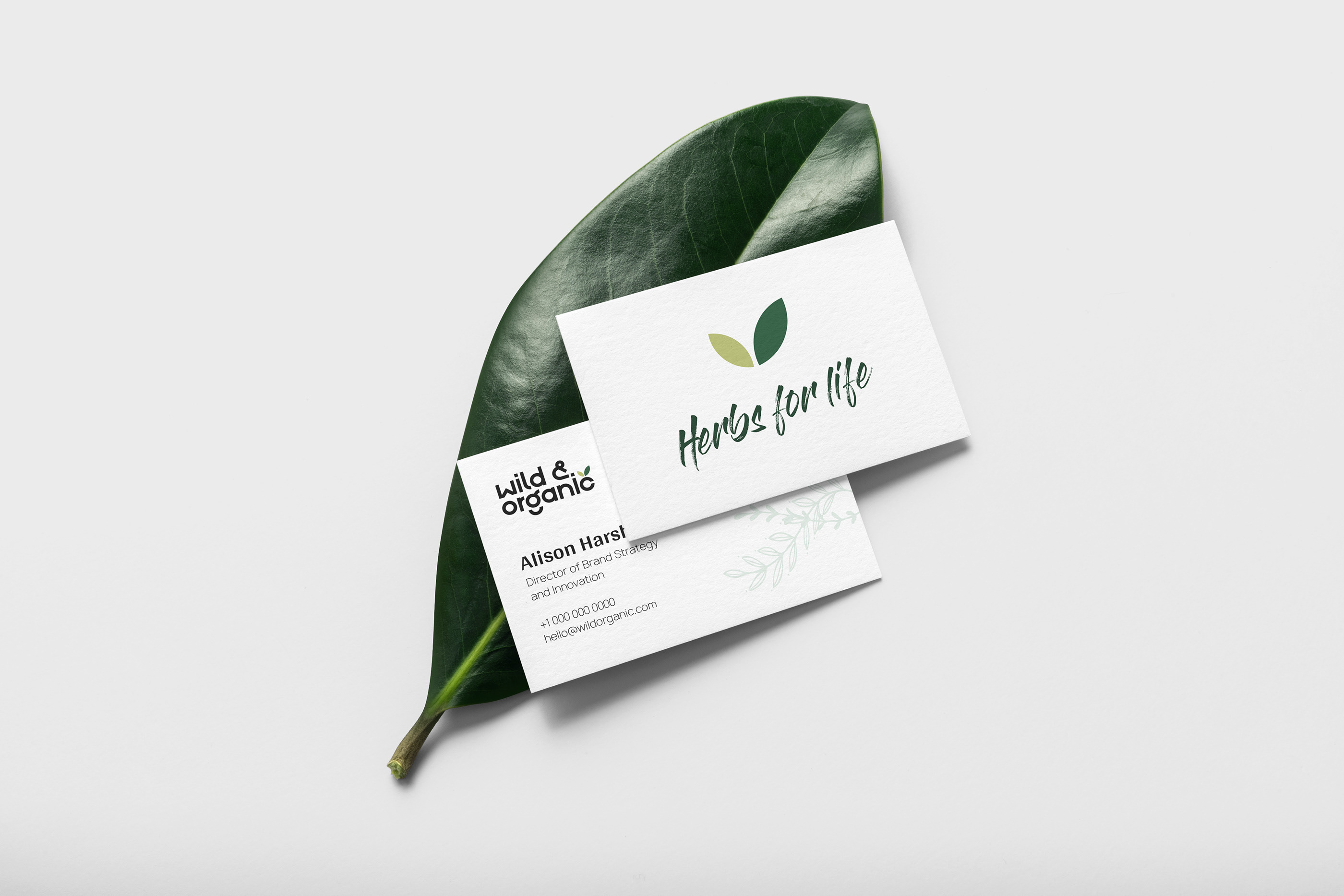 Wild & Organic supplements — Изображение №8 — Брендинг на Dprofile