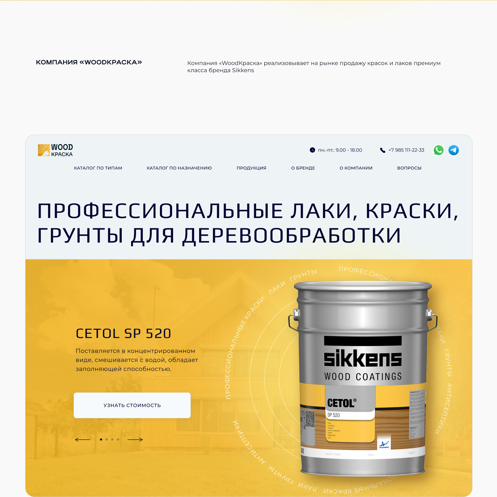 Лендинг пейдж. Лаки и краски премиум сегмента — Изображение №2 — Интерфейсы, Брендинг на Dprofile