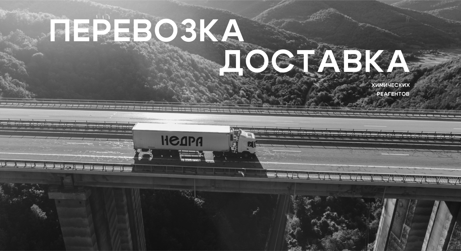 Создание логотипа для компании «Недра» — Изображение №13 — Брендинг на Dprofile