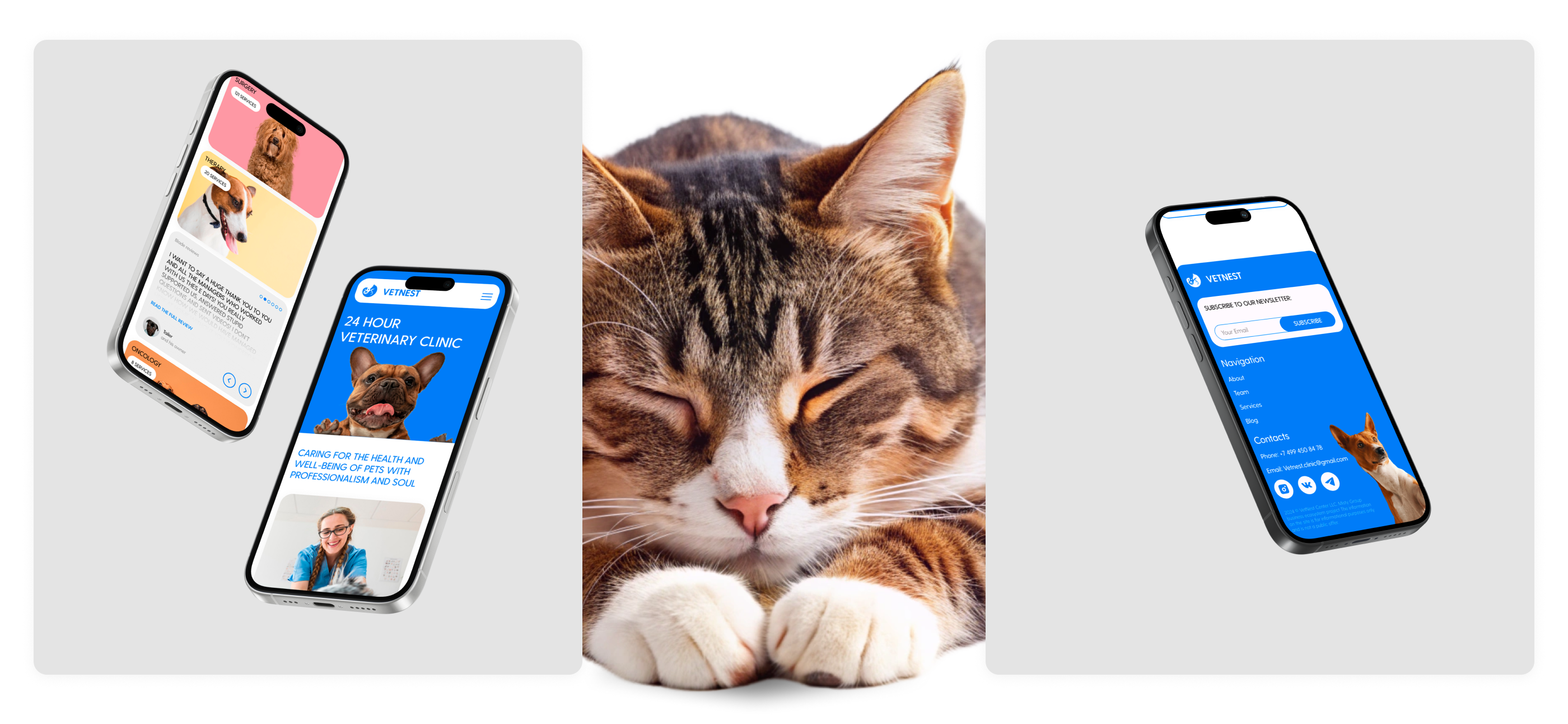 VETNEST veterinary clinic/Website and branding — Изображение №3 — Интерфейсы на Dprofile