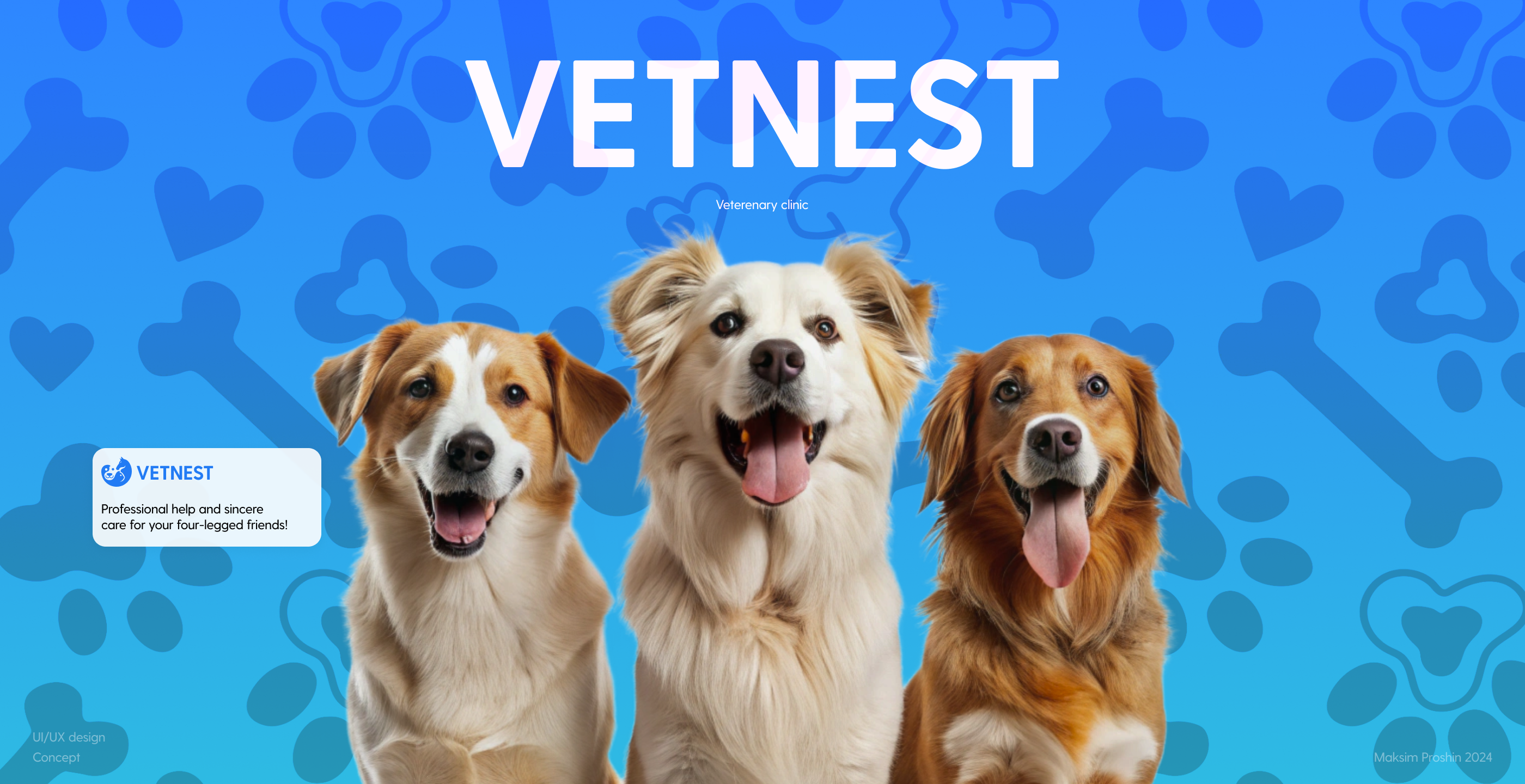 VETNEST veterinary clinic/Website and branding — Изображение №1 — Интерфейсы на Dprofile