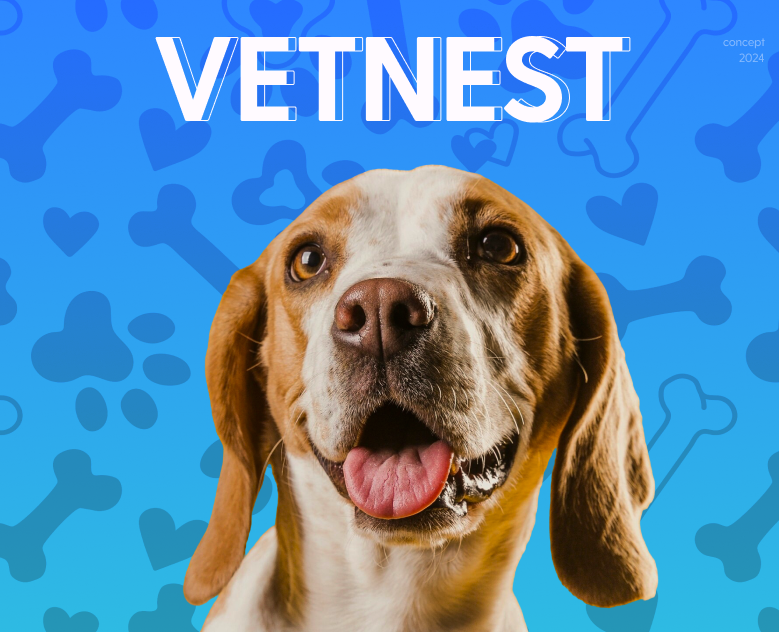 VETNEST veterinary clinic/Website and branding — Интерфейсы на Dprofile