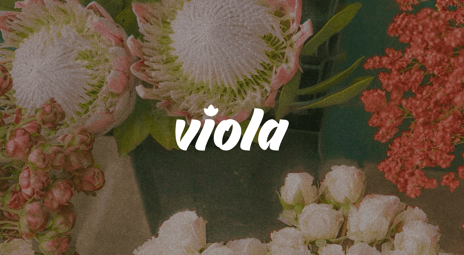 Viola Цветочный магазин| Логотип, фирменный стиль — Изображение №3 — Брендинг, Графика на Dprofile