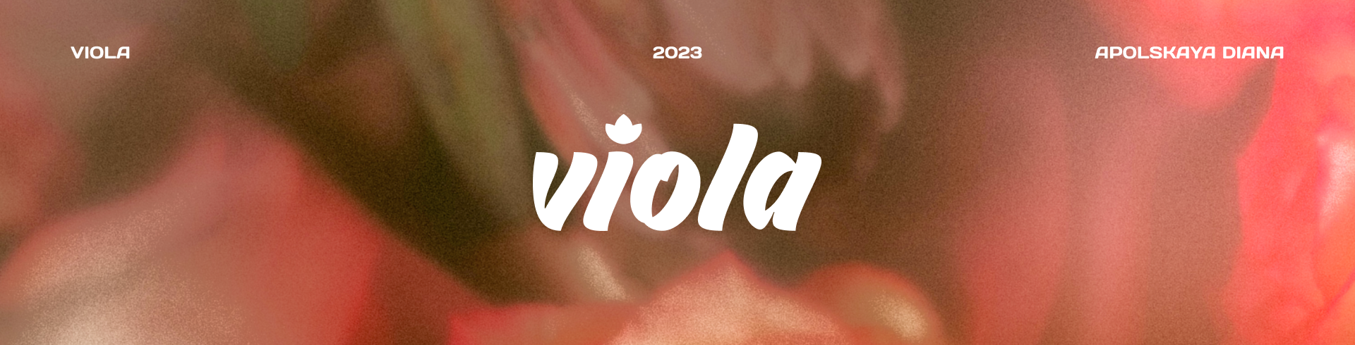 Viola Цветочный магазин| Логотип, фирменный стиль — Изображение №1 — Брендинг, Графика на Dprofile