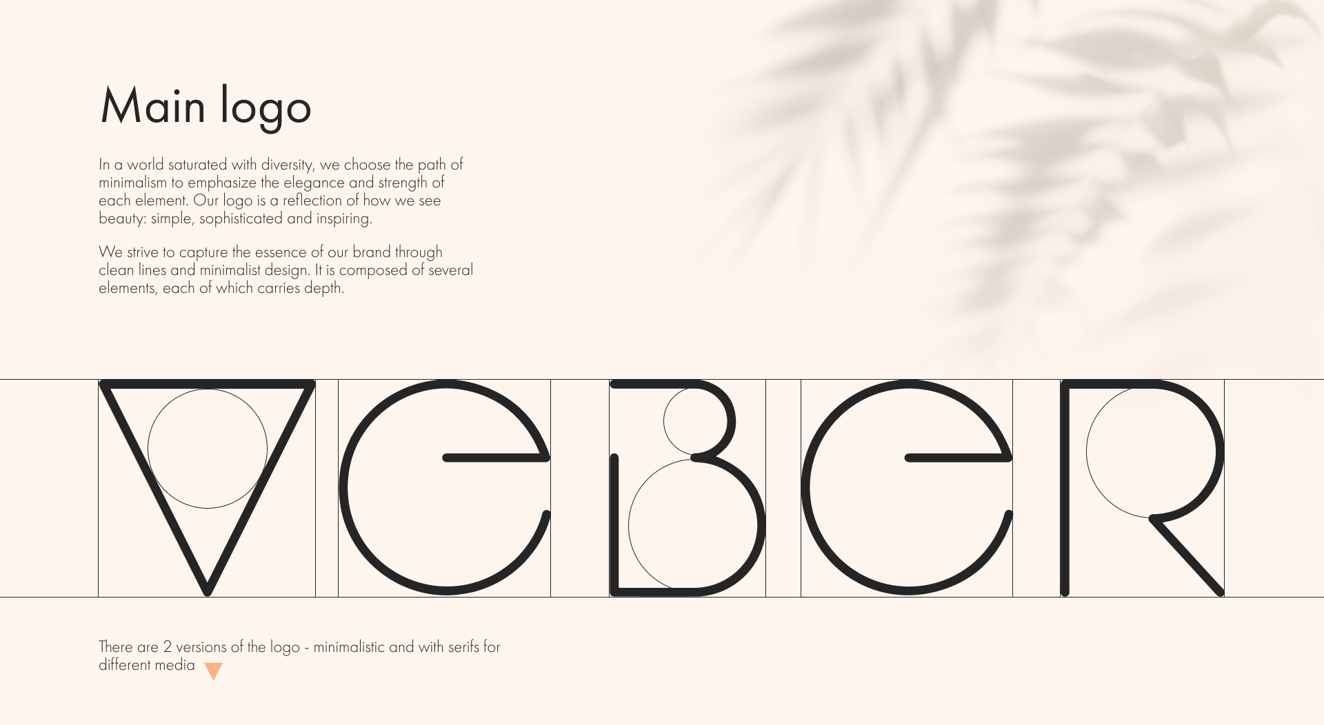 Veber Swimwear | Логотип, дизайн фирменного стиля — Изображение №4 — Брендинг, Графика на Dprofile