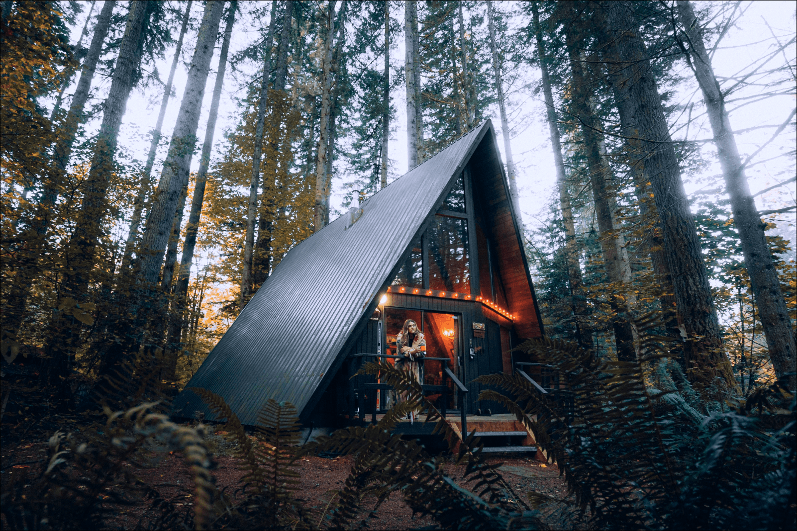 TreeHouse — Изображение №2 — Интерфейсы, Брендинг на Dprofile