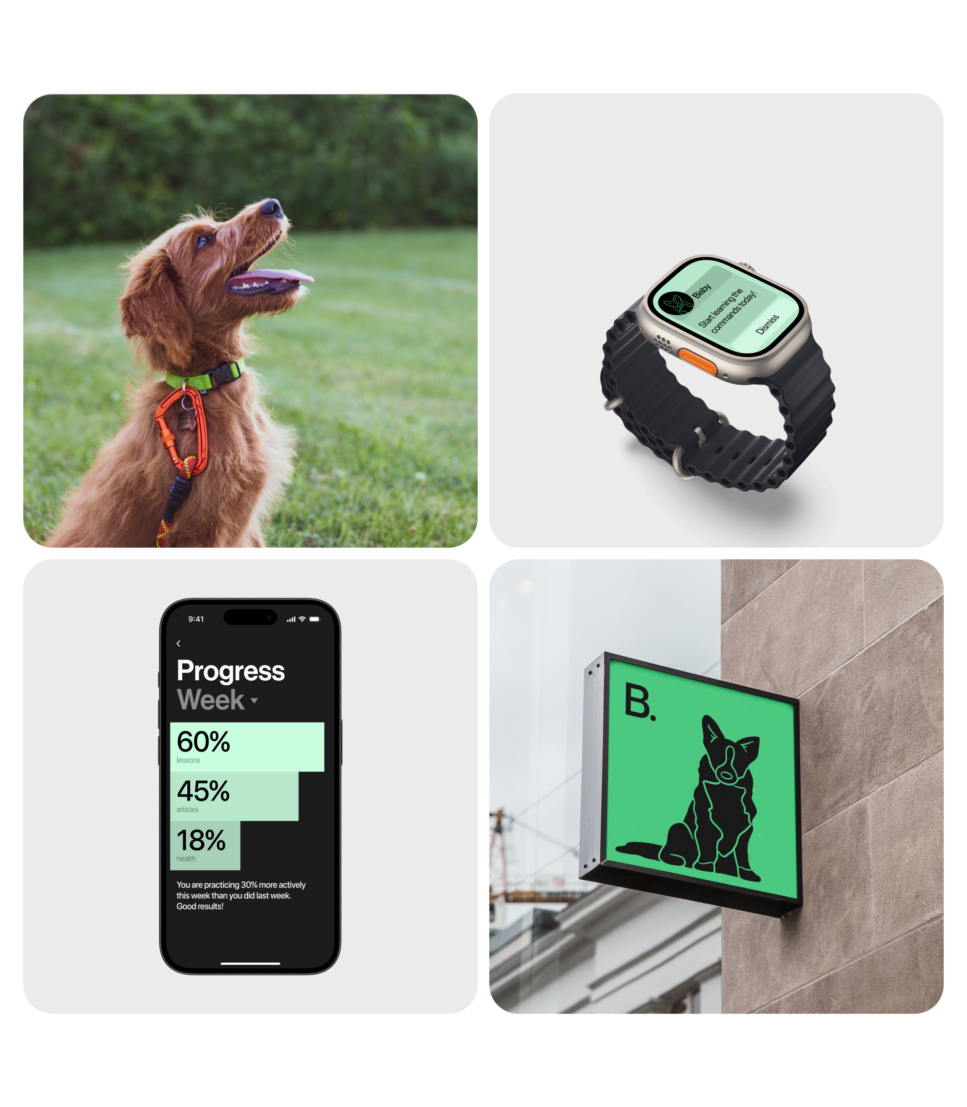 Bisby | dog training, health & shows — Изображение №15 — Интерфейсы, Брендинг на Dprofile