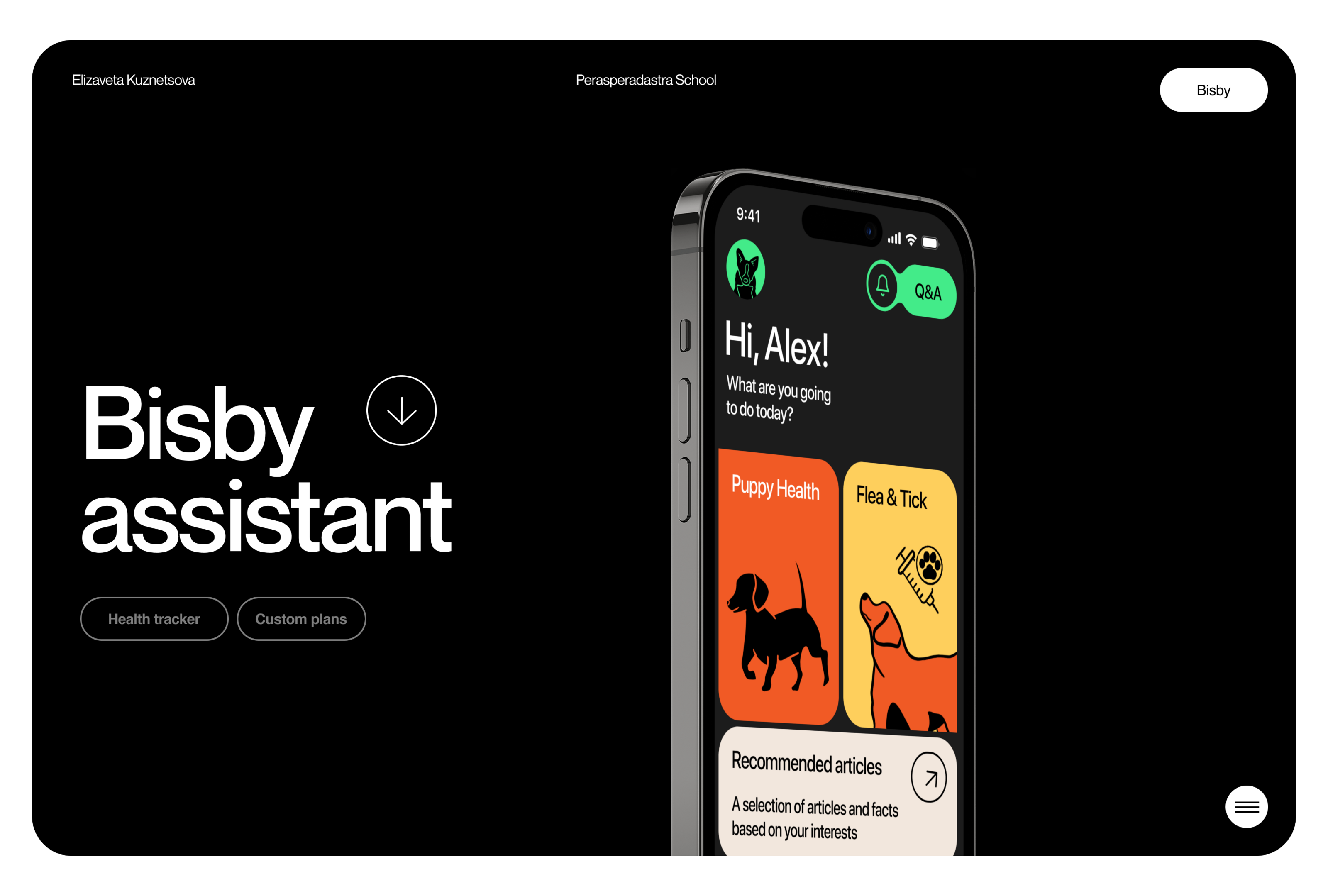 Bisby | dog training, health & shows — Изображение №1 — Интерфейсы, Брендинг на Dprofile