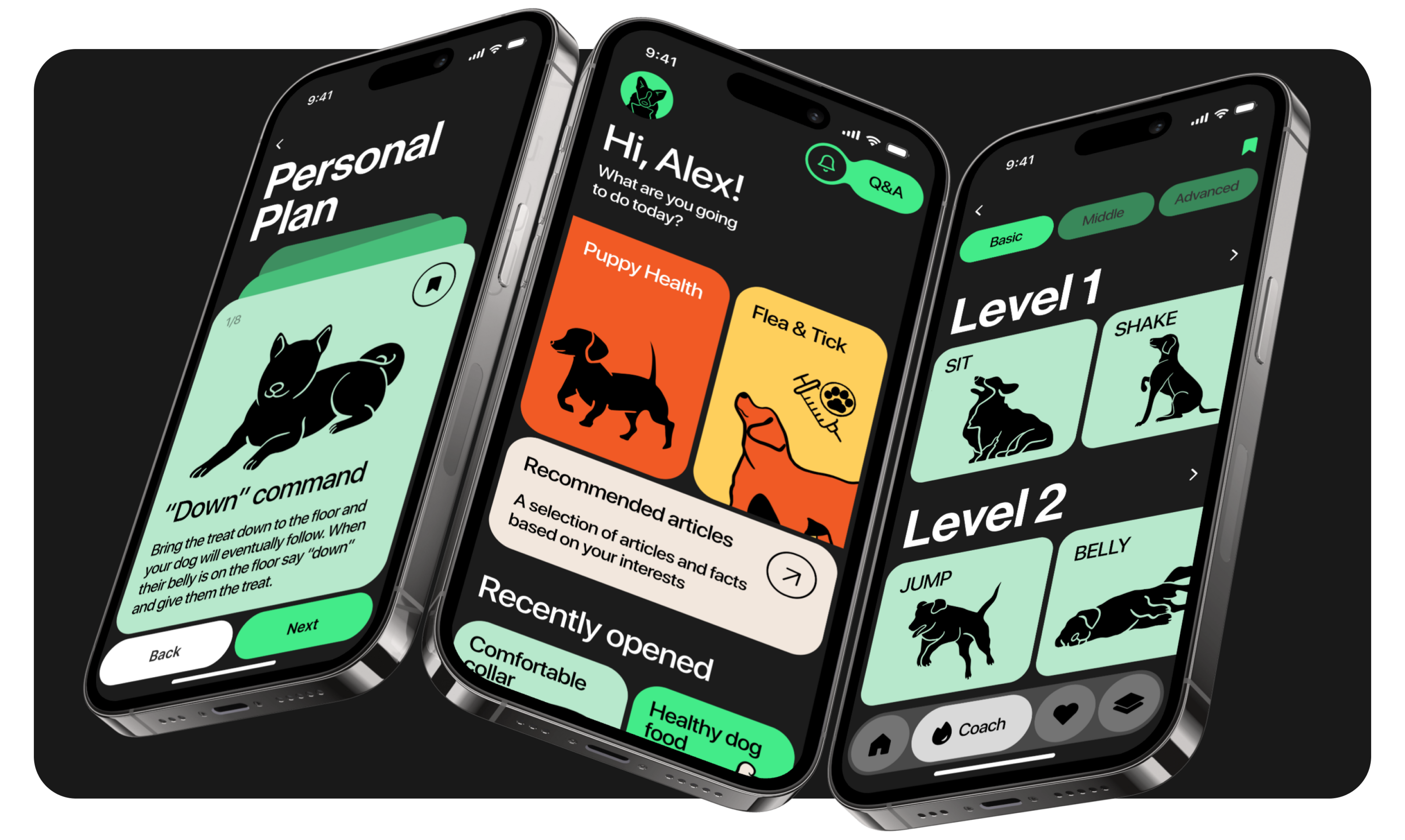 Bisby | dog training, health & shows — Изображение №9 — Интерфейсы, Брендинг на Dprofile