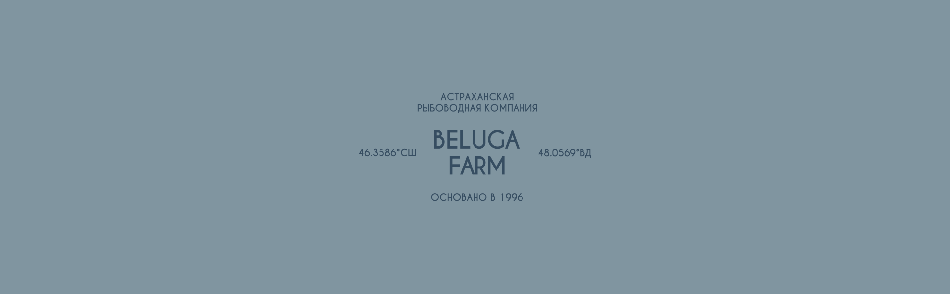 Beluga Farm | Брендинг для производителя черной икры — Изображение №6 — Брендинг на Dprofile