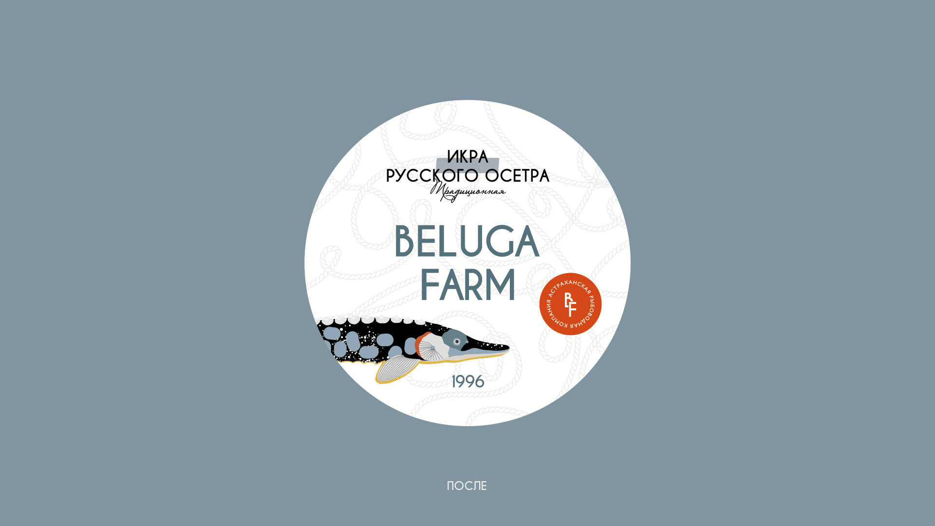 Beluga Farm | Брендинг для производителя черной икры — Изображение №3 — Брендинг на Dprofile