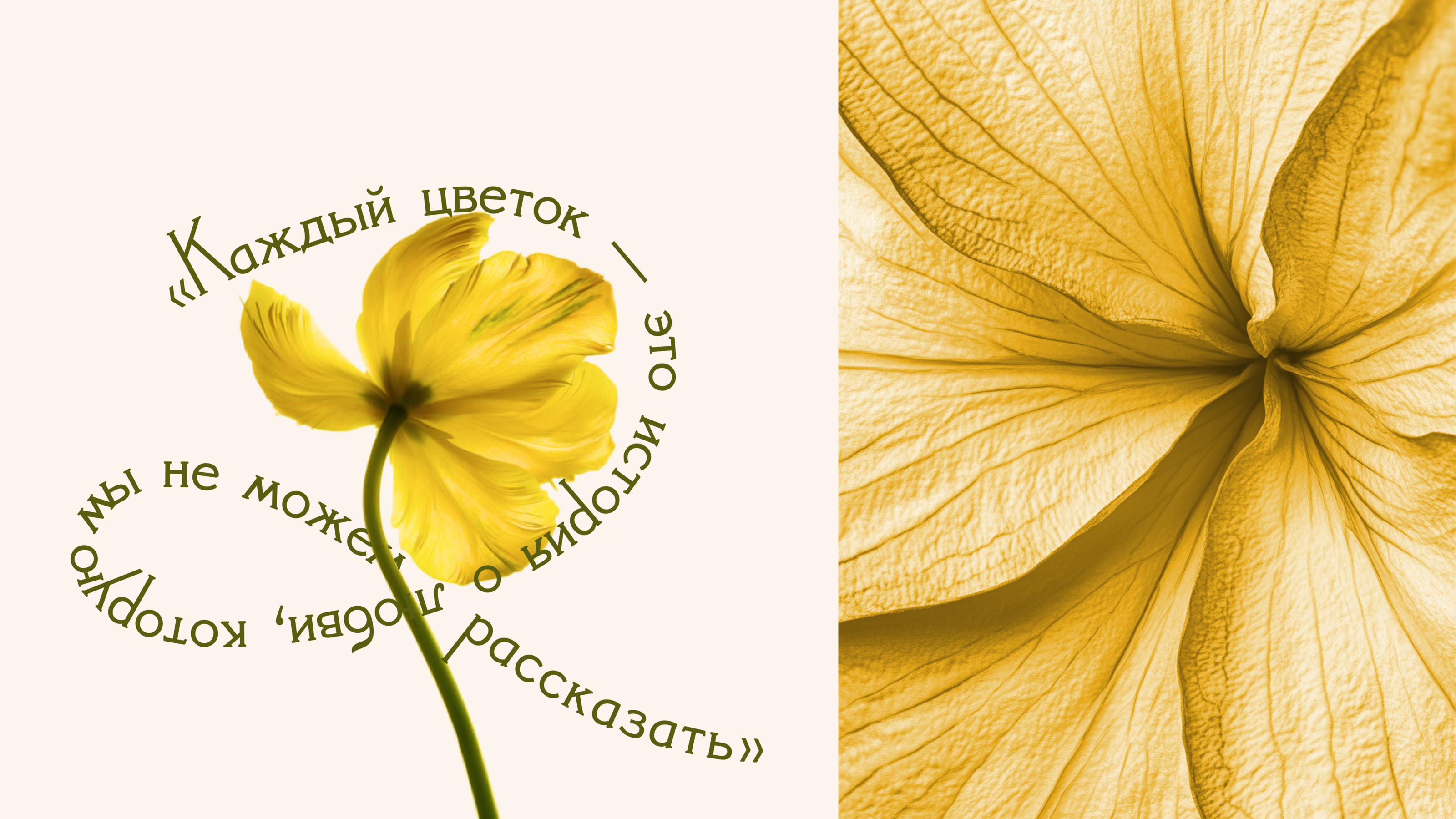 Стебли — Изображение №6 — Брендинг, Анимация на Dprofile