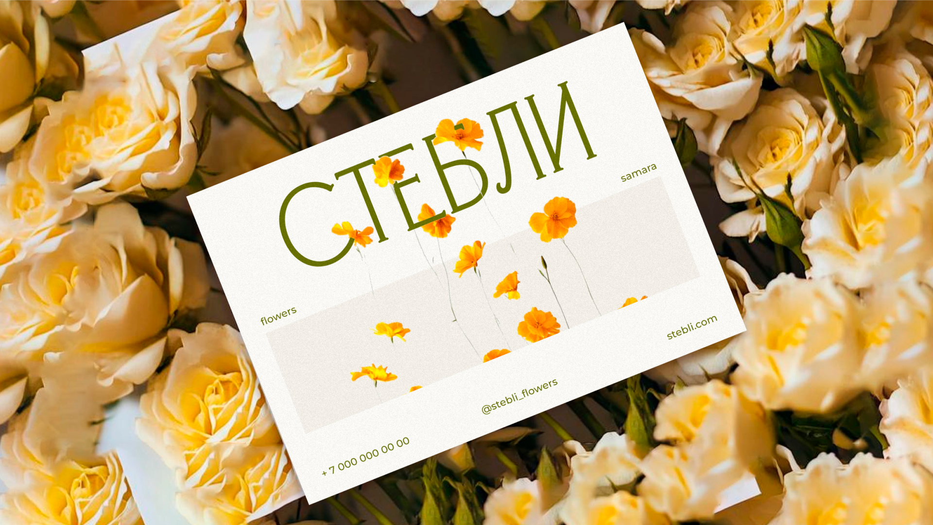 Стебли — Изображение №5 — Брендинг, Анимация на Dprofile