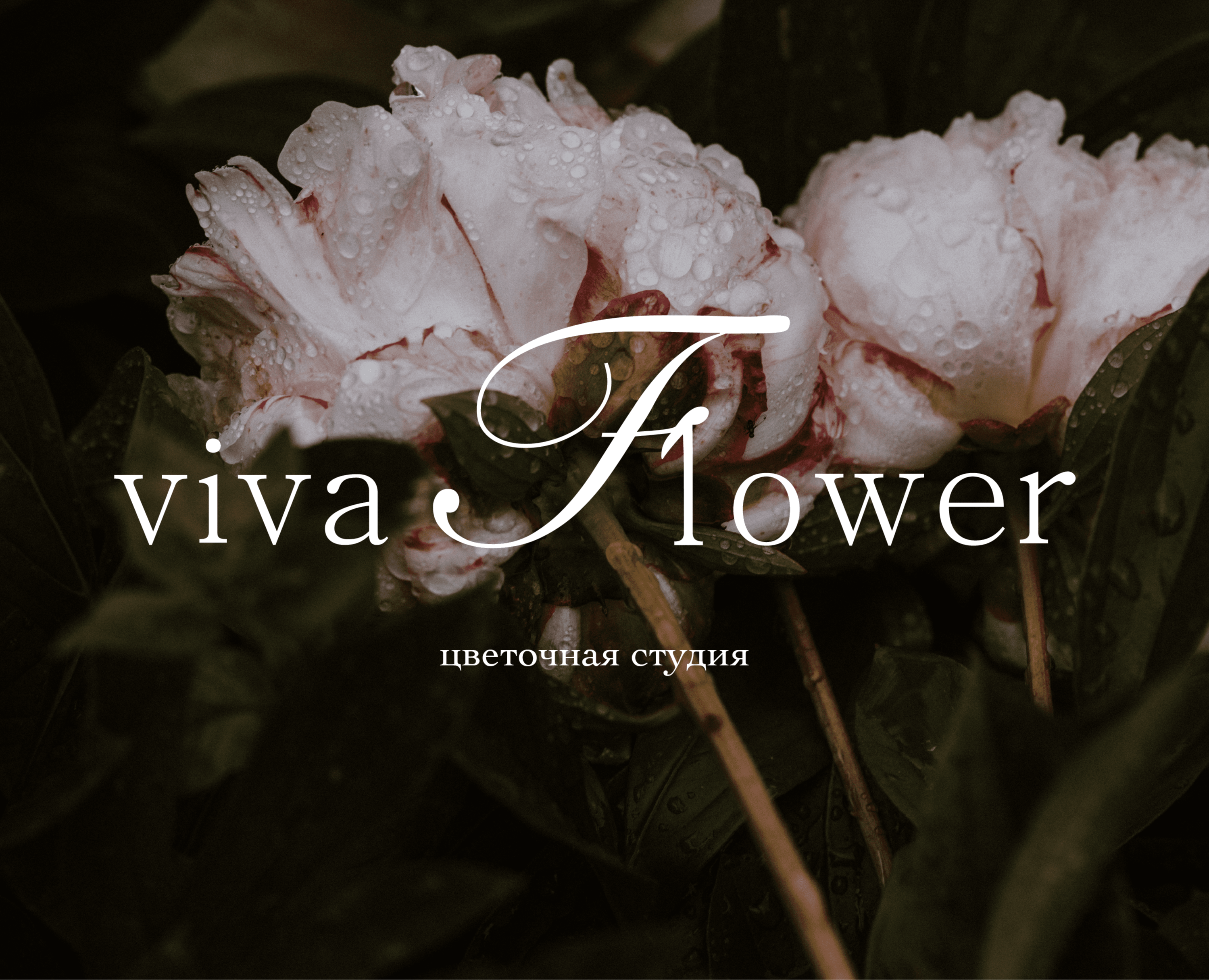 Brand identity // Viva flower — Брендинг на Dprofile
