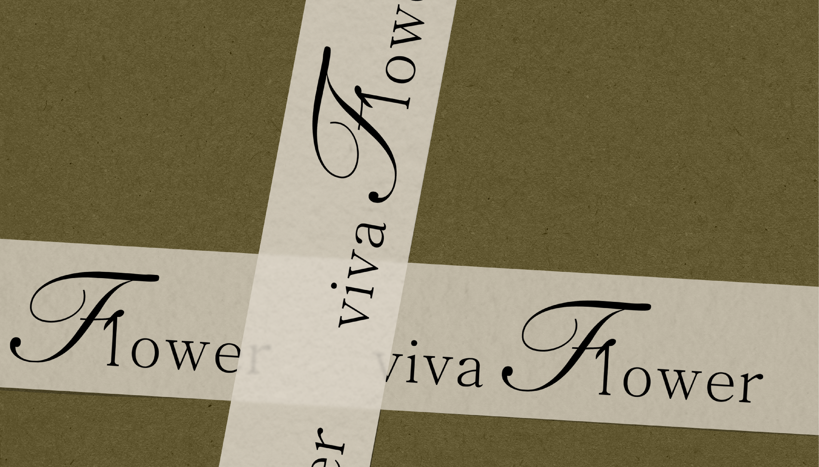 Brand identity // Viva flower — Изображение №8 — Брендинг на Dprofile