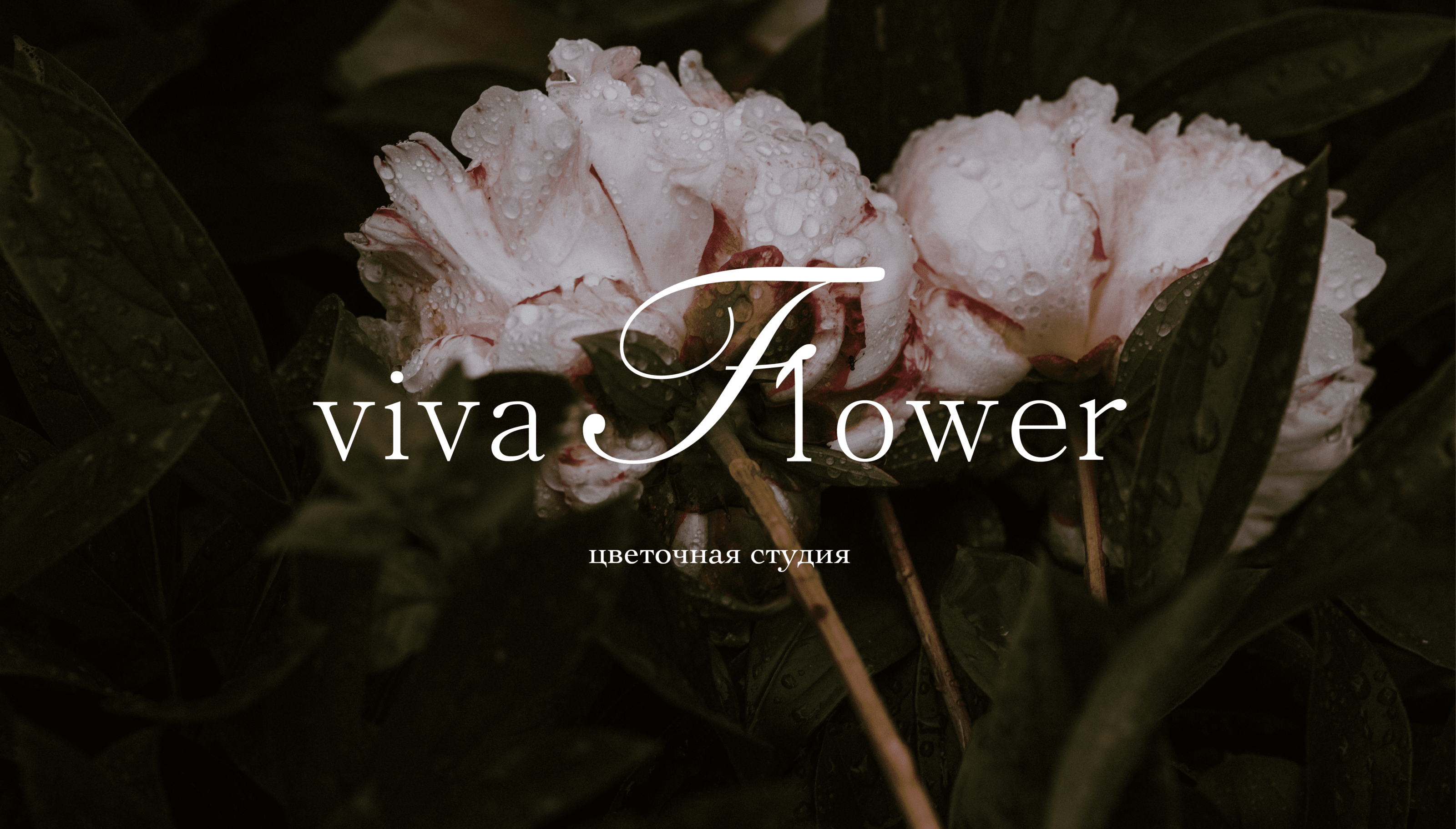 Brand identity // Viva flower — Изображение №1 — Брендинг на Dprofile