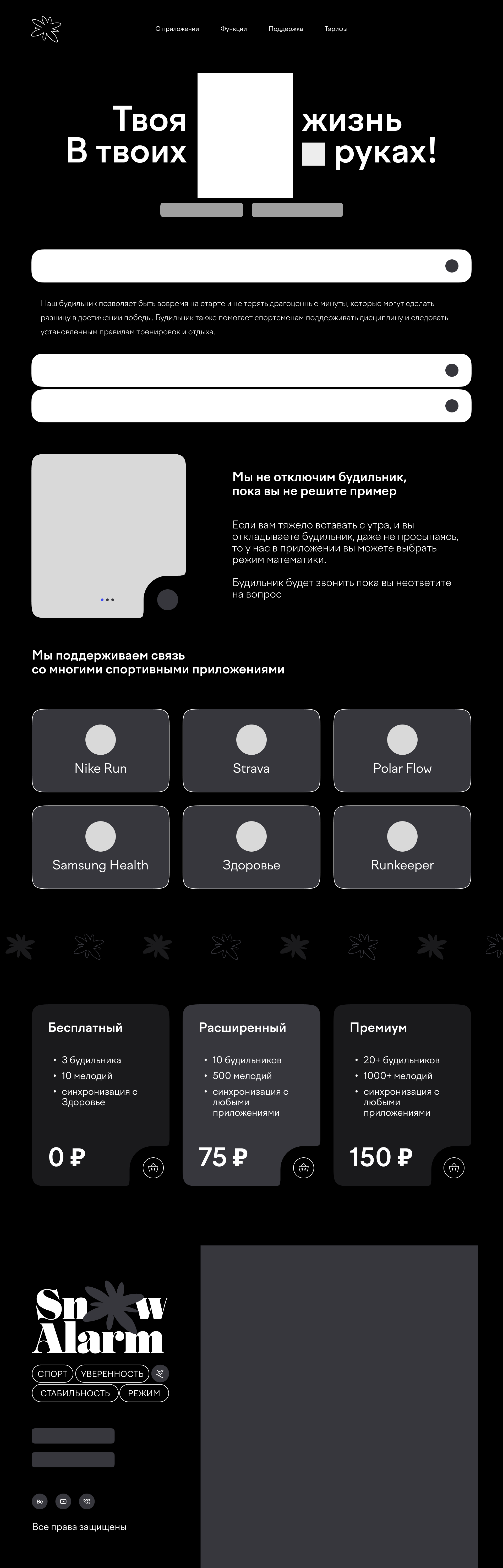 SnowAlarm Landing page website — Изображение №3 — Интерфейсы на Dprofile