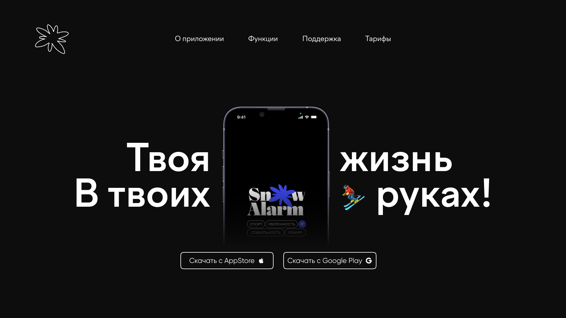 SnowAlarm Landing page website — Изображение №1 — Интерфейсы на Dprofile