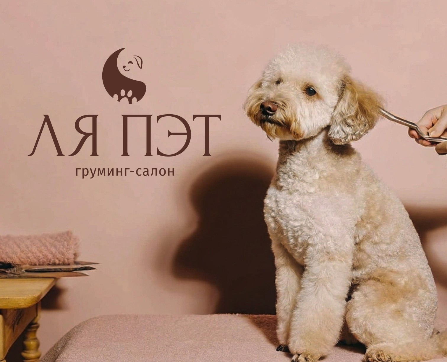 ФИРМЕННЫЙ СТИЛЬ ДЛЯ ГРУМИНГ-САЛОНА | GROOMING SALON — Брендинг на Dprofile