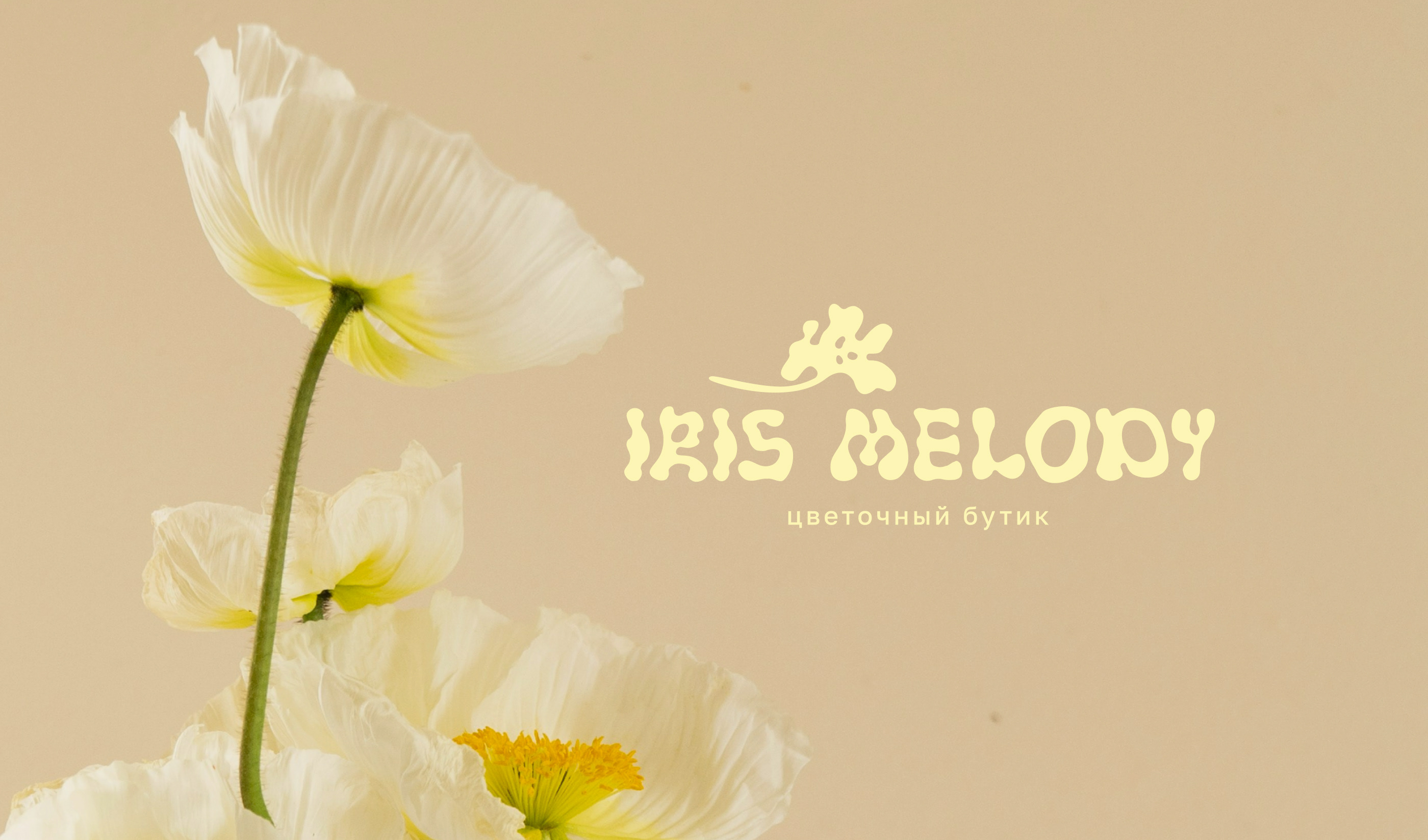 ФИРМЕННЫЙ СТИЛЬ ДЛЯ ЦВЕТОЧНОГО БУТИКА | FLOWER BRANDING — Изображение №1 — Брендинг на Dprofile