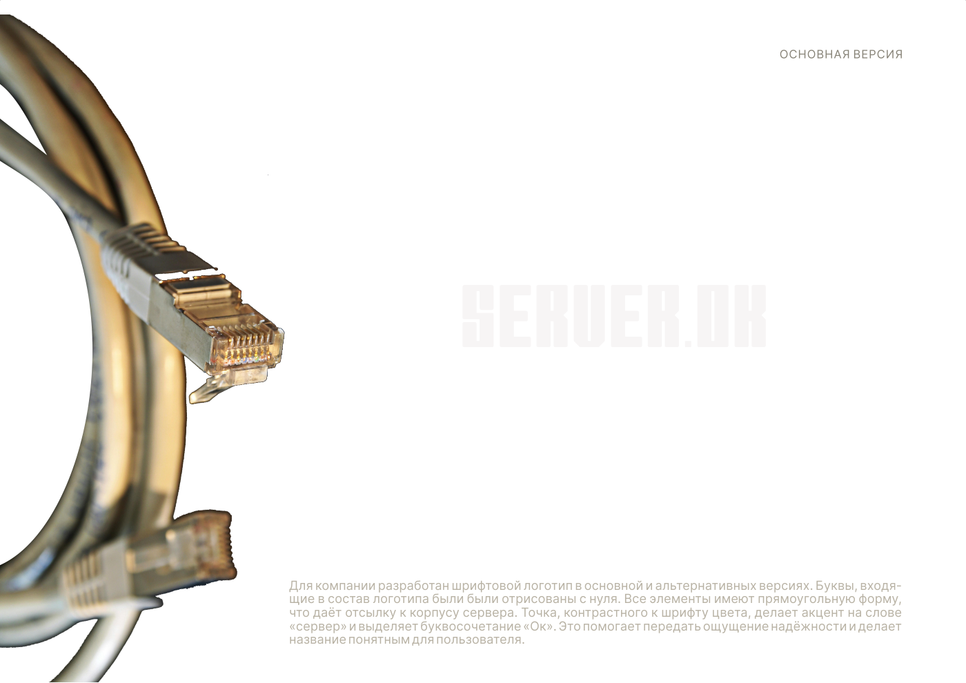 Логотип | Фирменный стиль | Дата-центр — Изображение №4 — Брендинг, Графика на Dprofile