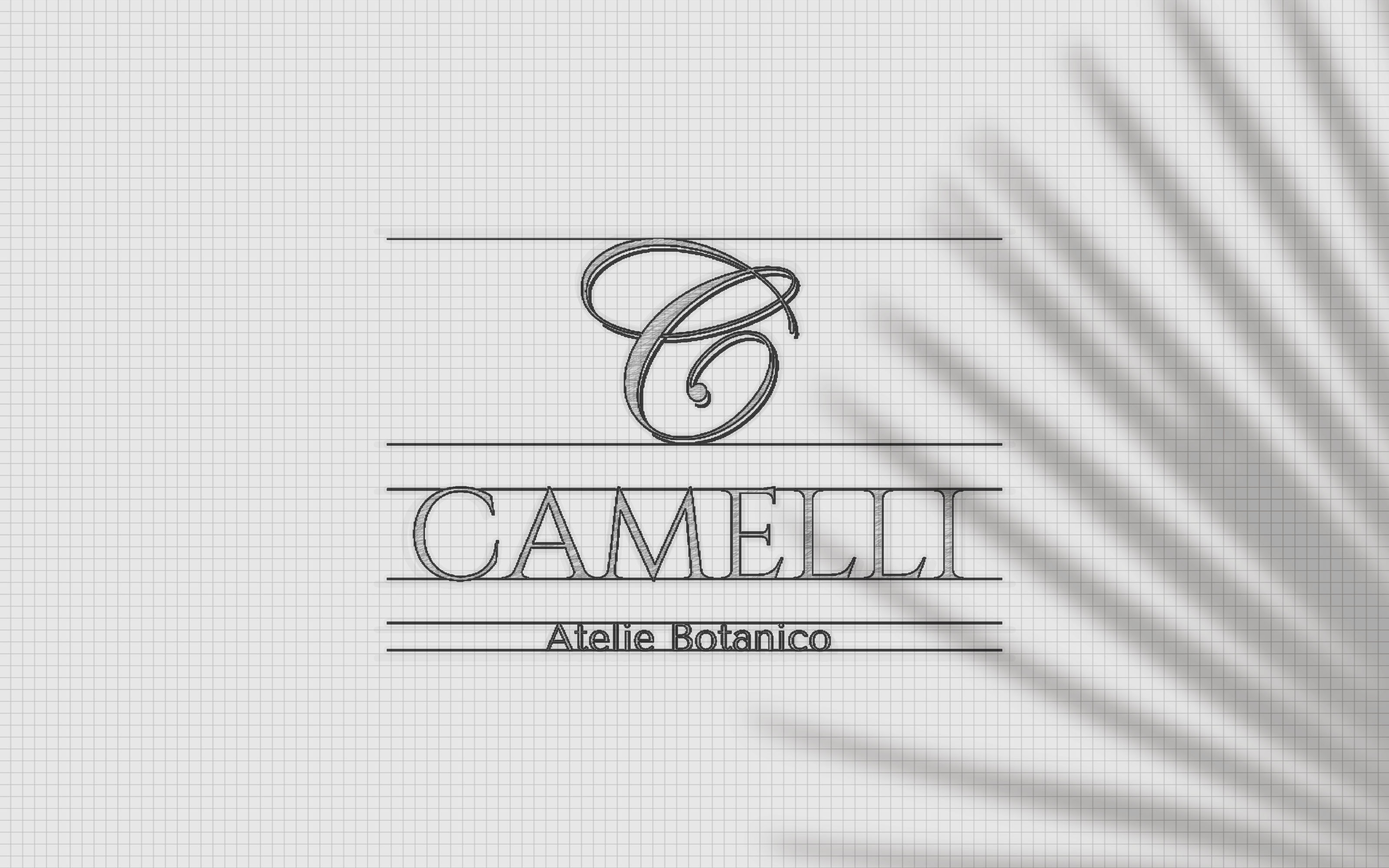 Логотип для цветочного магазина Camelli — Изображение №2 — Брендинг, Графика на Dprofile