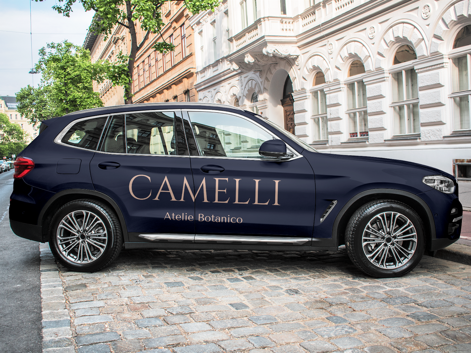 Логотип для цветочного магазина Camelli — Изображение №5 — Брендинг, Графика на Dprofile