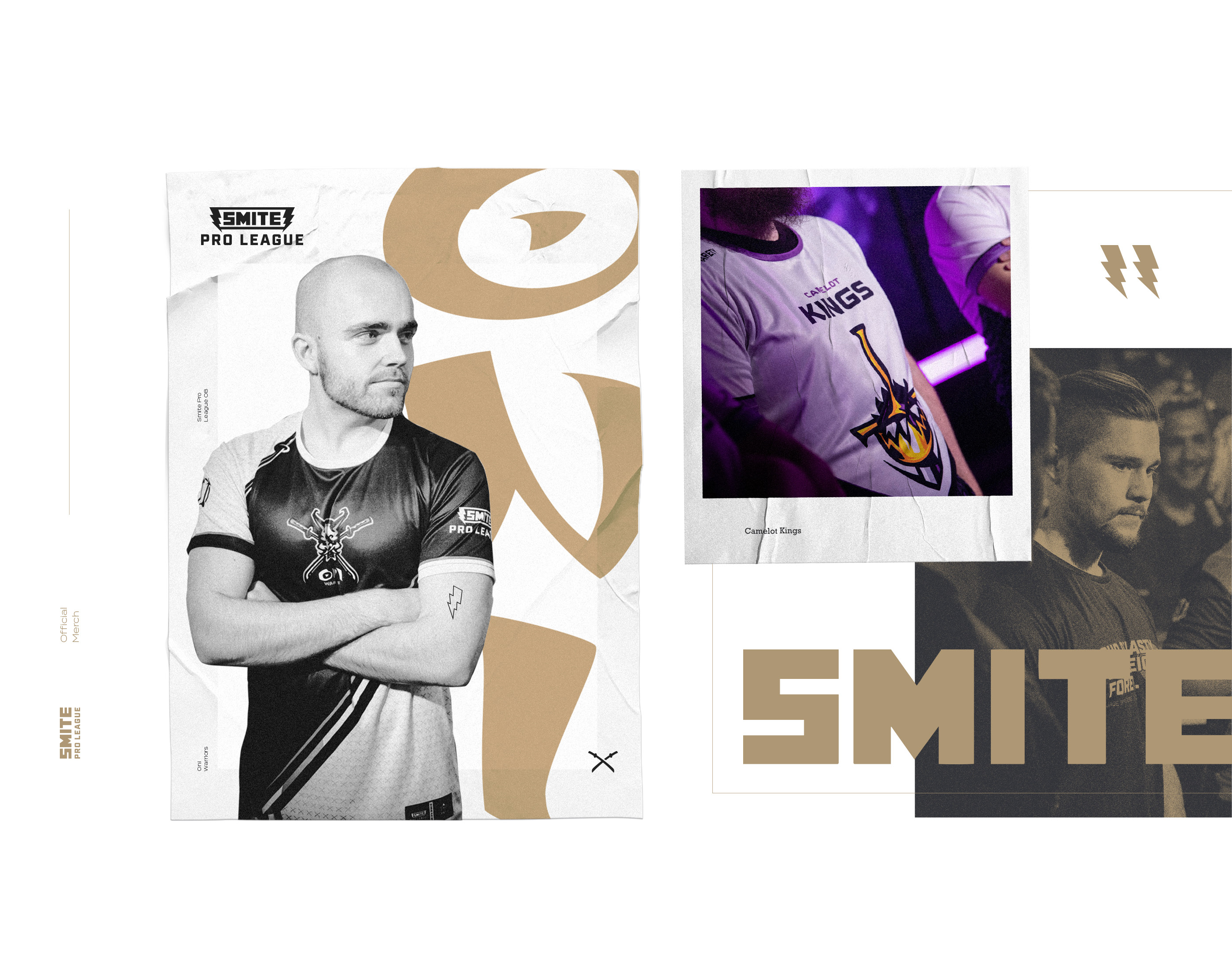 Эмблемы Команд SMITE Pro League — Изображение №26 — Брендинг, Иллюстрация на Dprofile