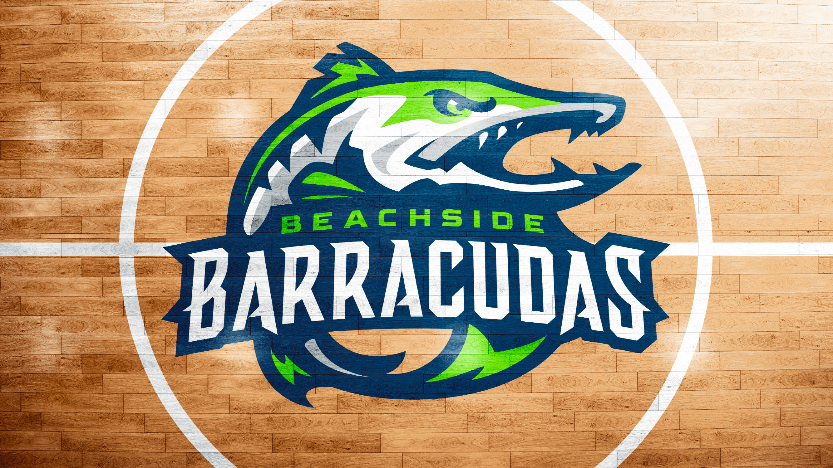 Эмблема и Фирменный стиль для Beachside High School — Изображение №15 — Брендинг на Dprofile