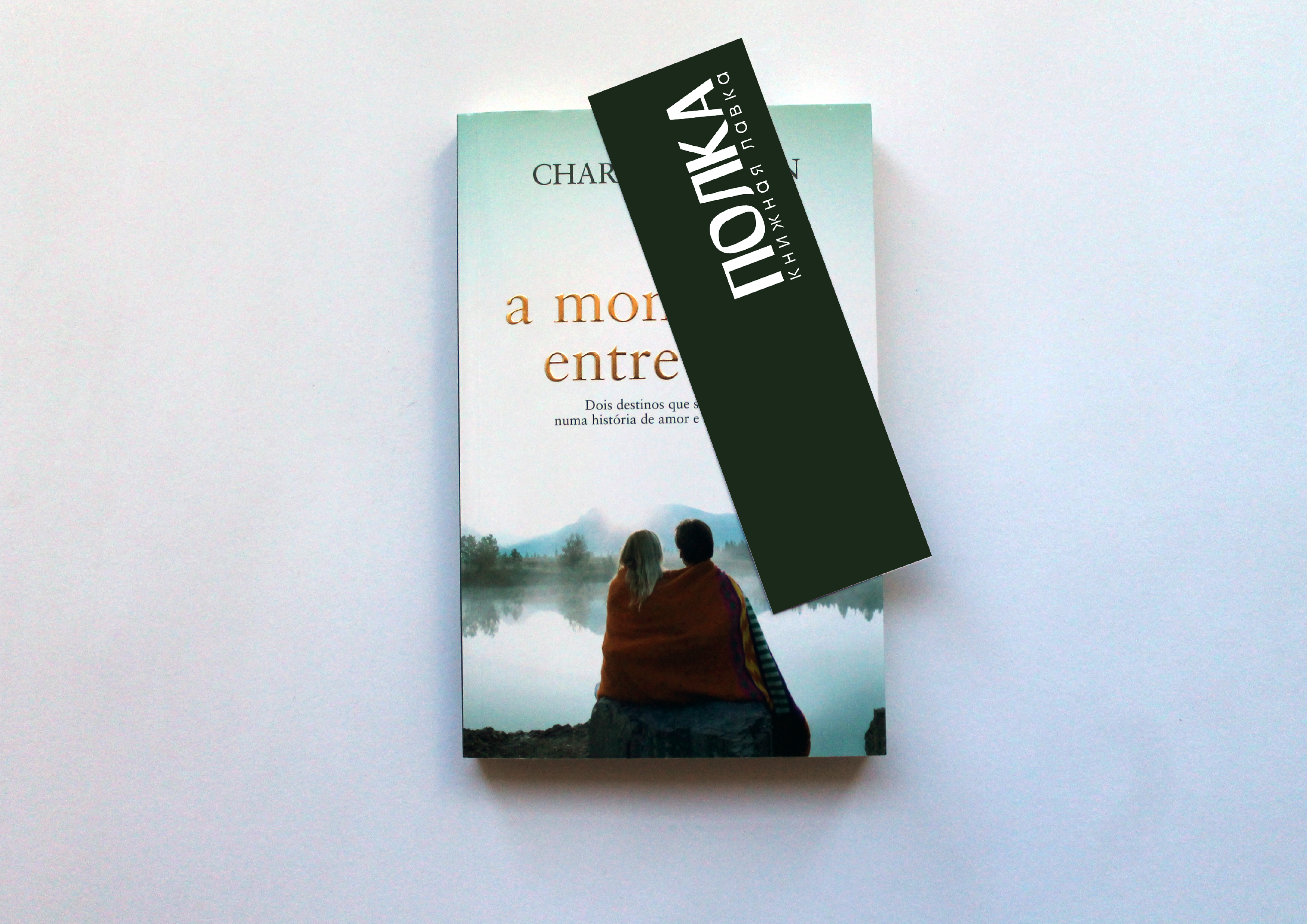 Фирменный стиль | Книжная лавка | Логотип — Изображение №13 — Брендинг, Графика на Dprofile