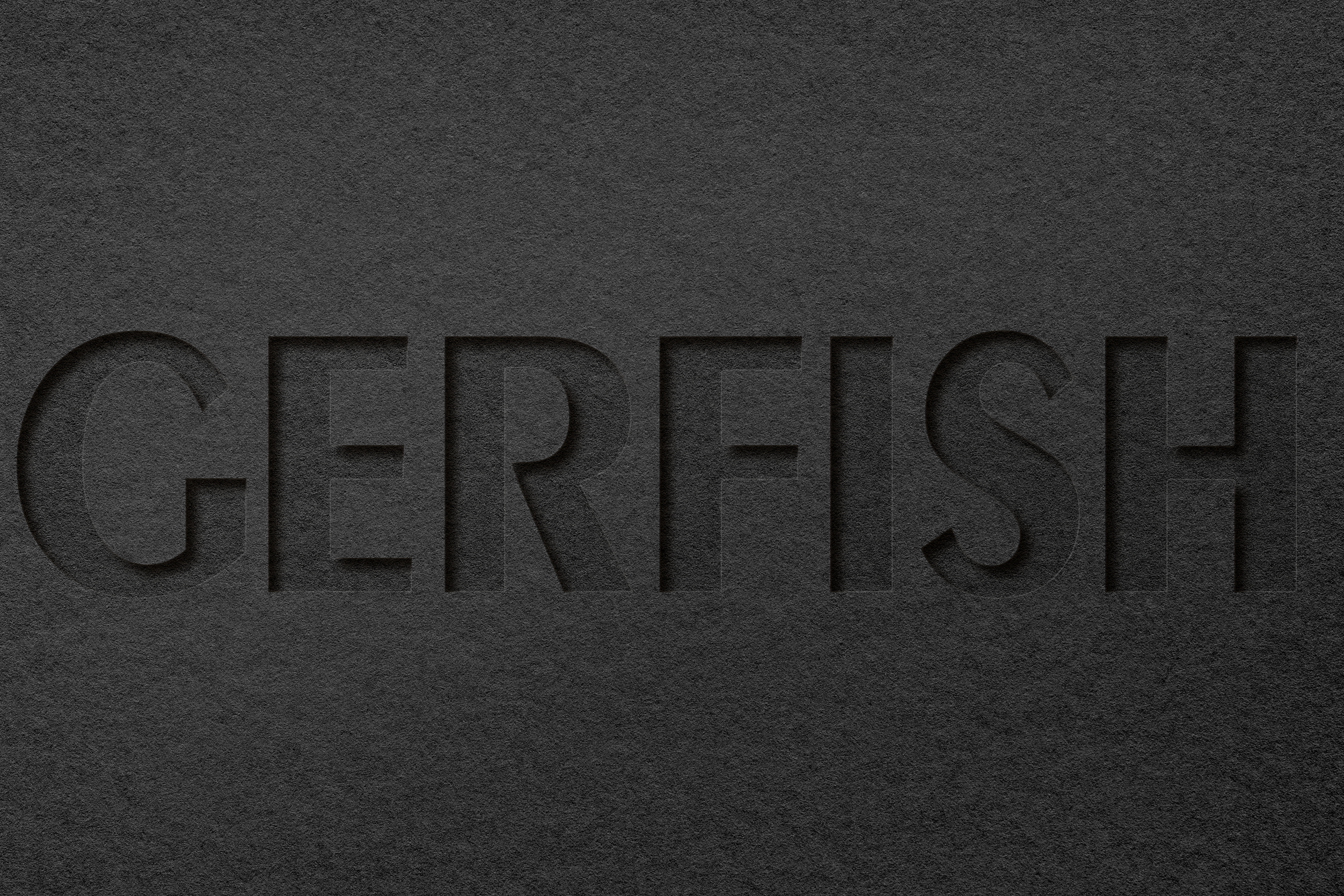 Logo | Логотип GERFISH — Изображение №8 — Брендинг на Dprofile