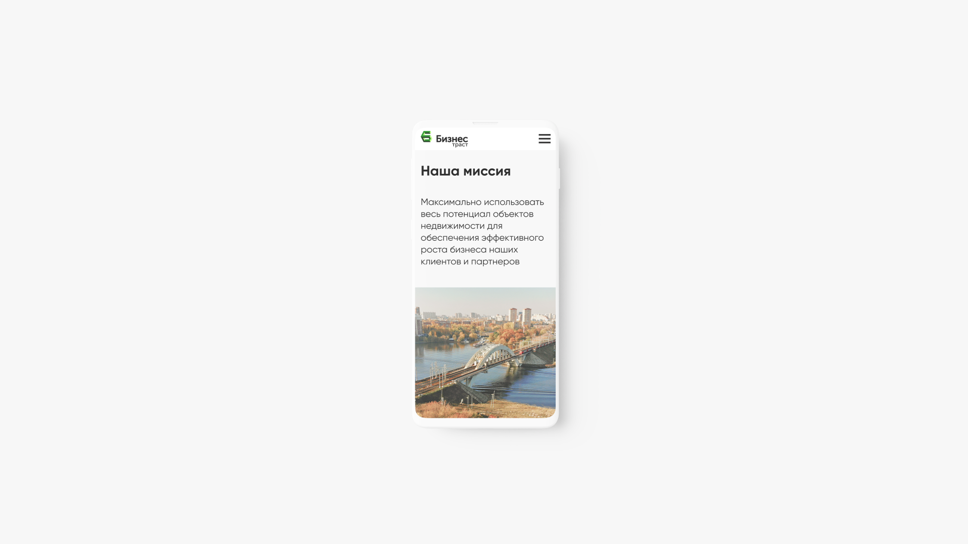 Бизнес Траст — Изображение №31 — Интерфейсы, Брендинг на Dprofile
