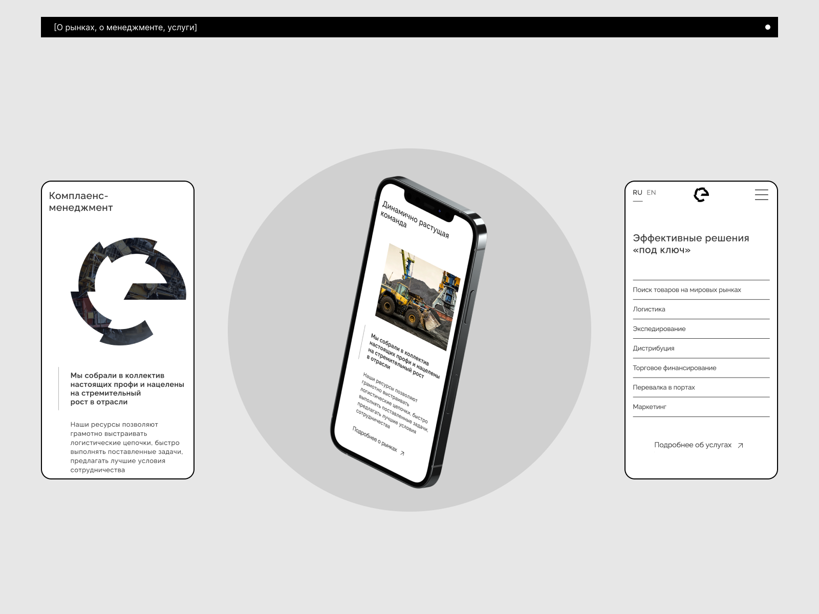 Endymion - независимый трейдер полезных ископаемых — Изображение №7 — Брендинг, Интерфейсы на Dprofile