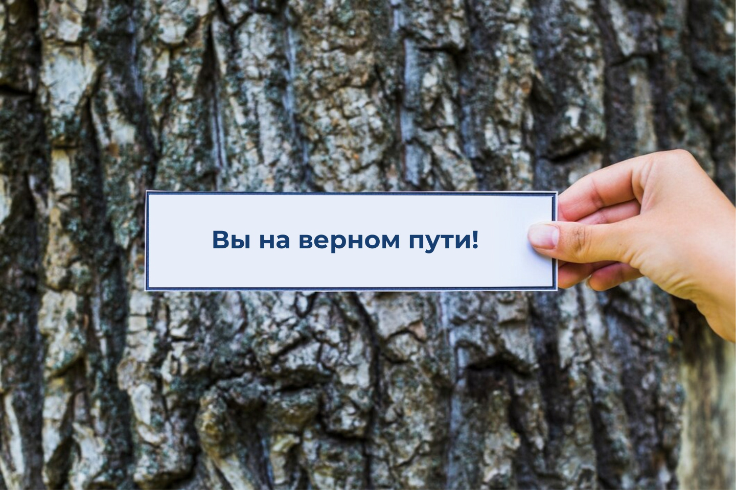 Логотип I фирменный стиль для туристического проекта — Изображение №11 — Брендинг на Dprofile
