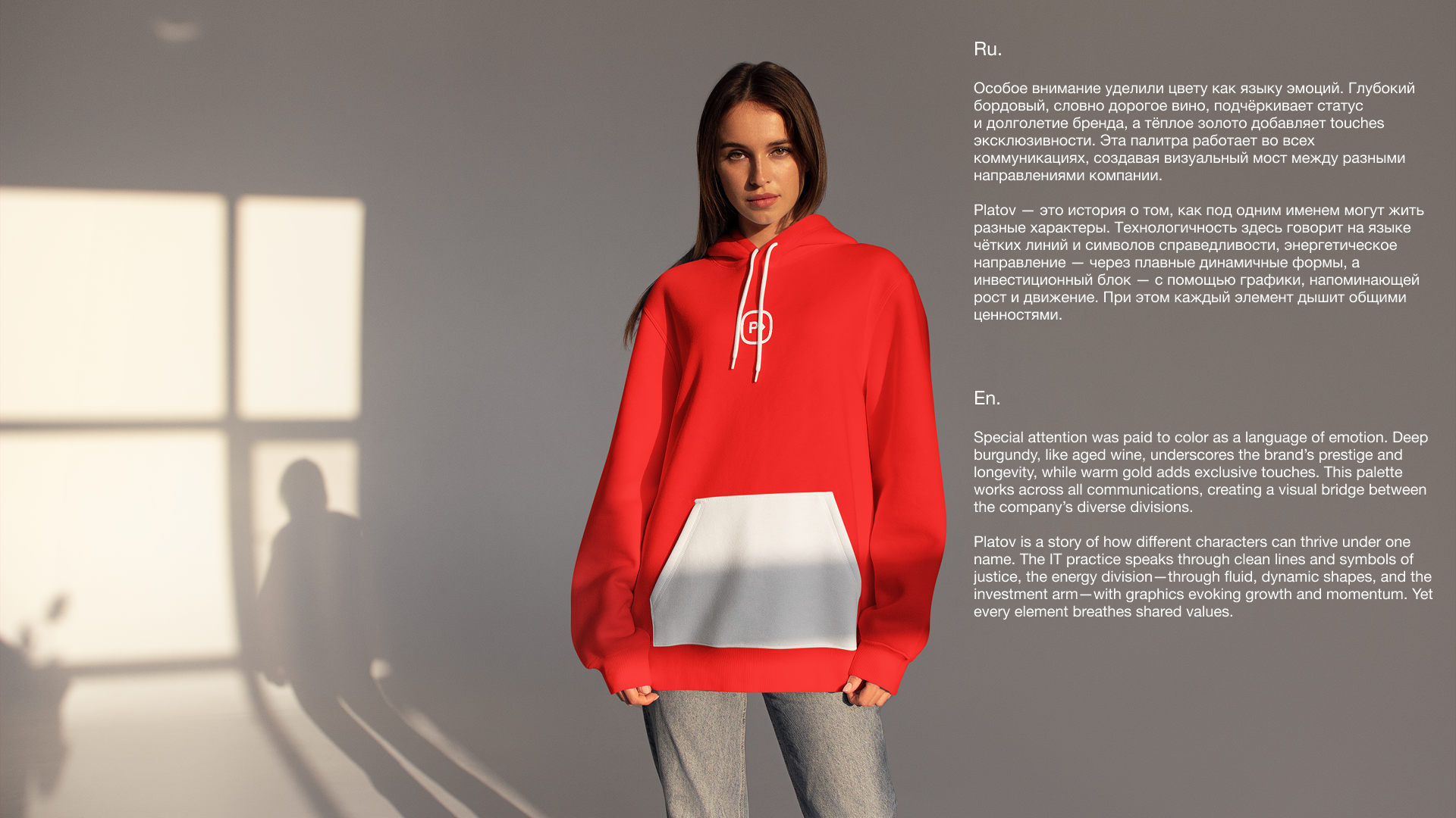 Platov — Изображение №4 — Интерфейсы, Брендинг на Dprofile