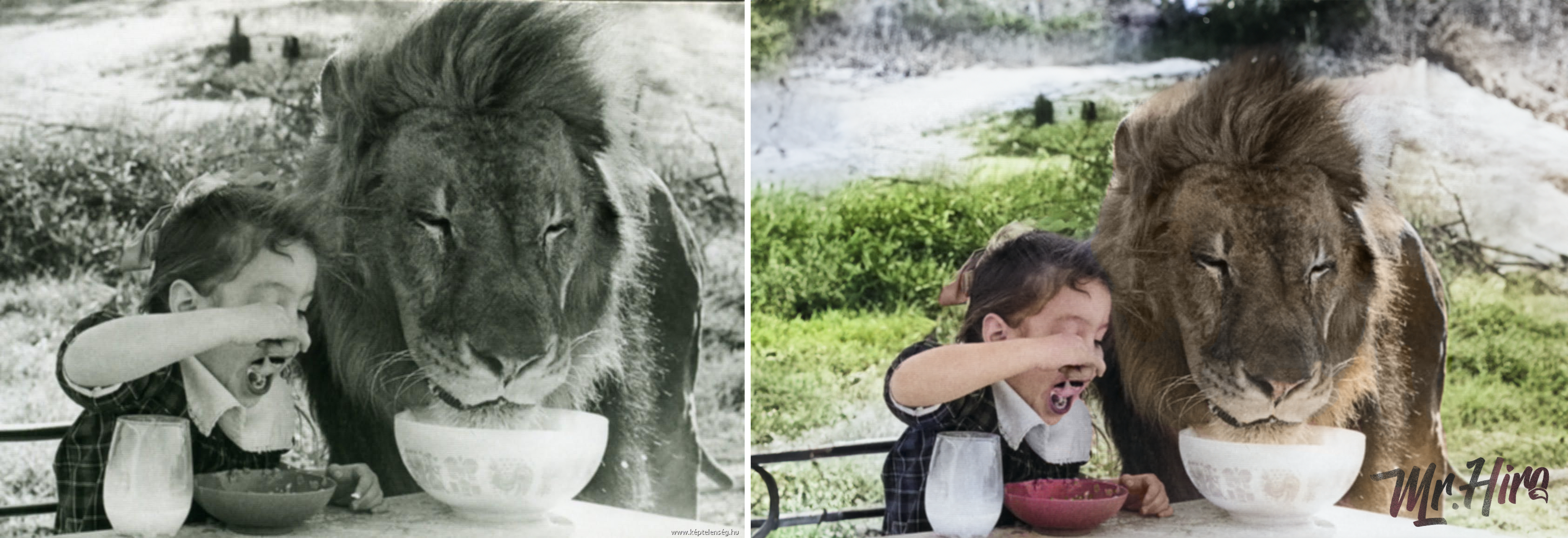 Колоризация фото 📷 — Изображение №1 — Графика на Dprofile