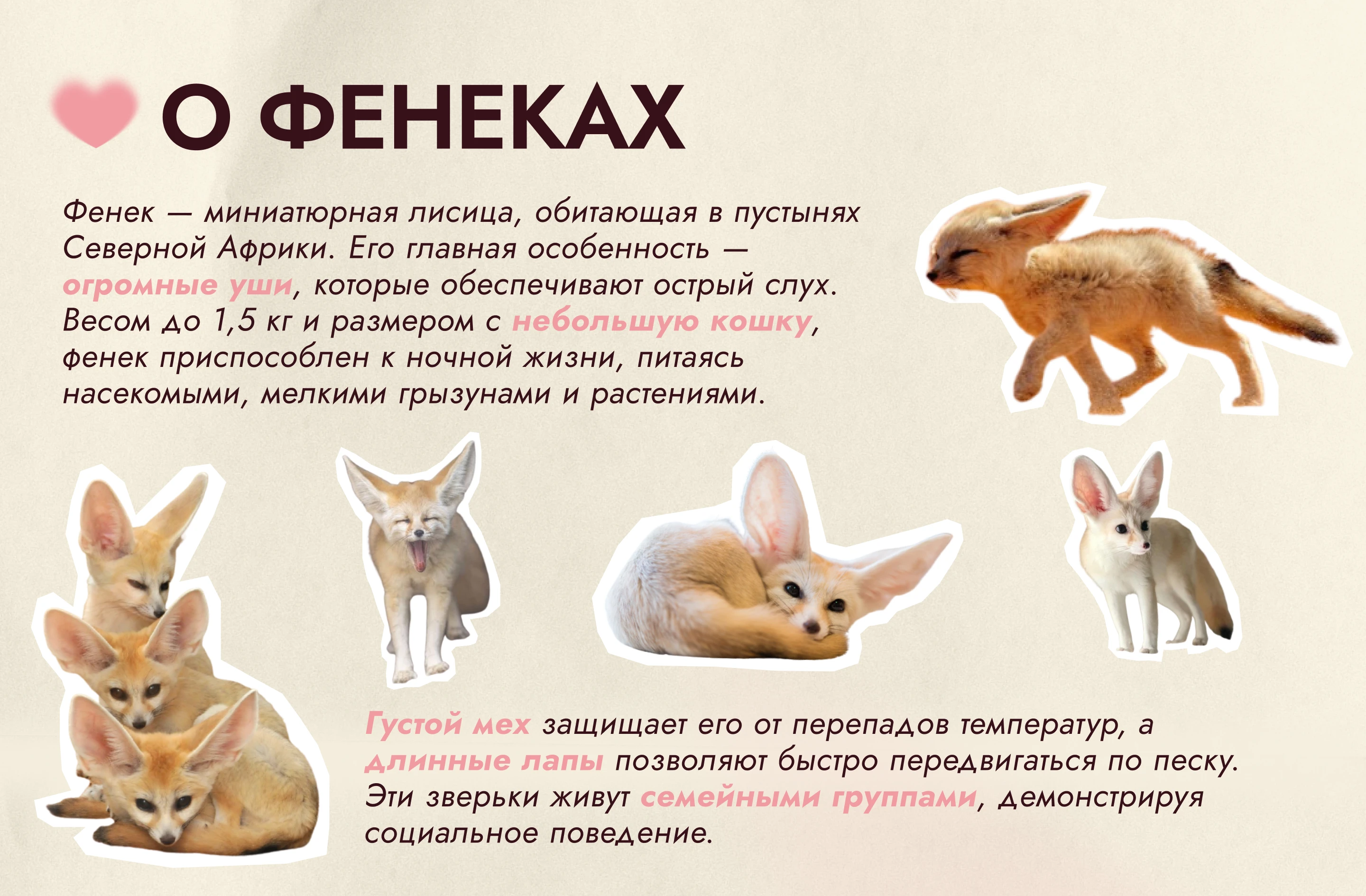 ЛИЯ | Анимированный Стикер Пак — Изображение №4 — Иллюстрация, Графика на Dprofile