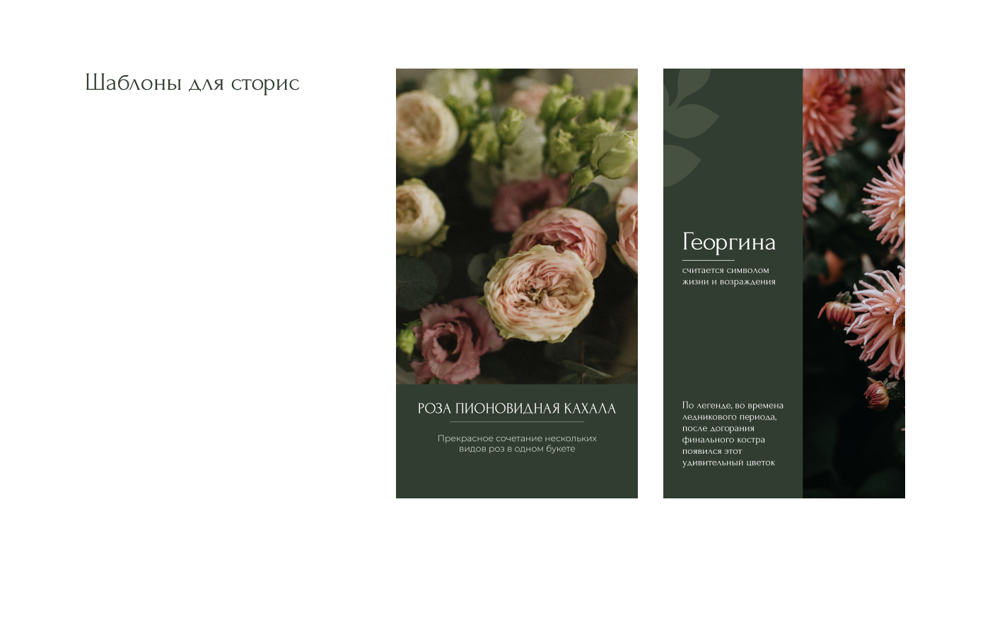 El Flower Farm Banners | Баннеры для цветочной фермы — Изображение №5 — Интерфейсы, Брендинг на Dprofile