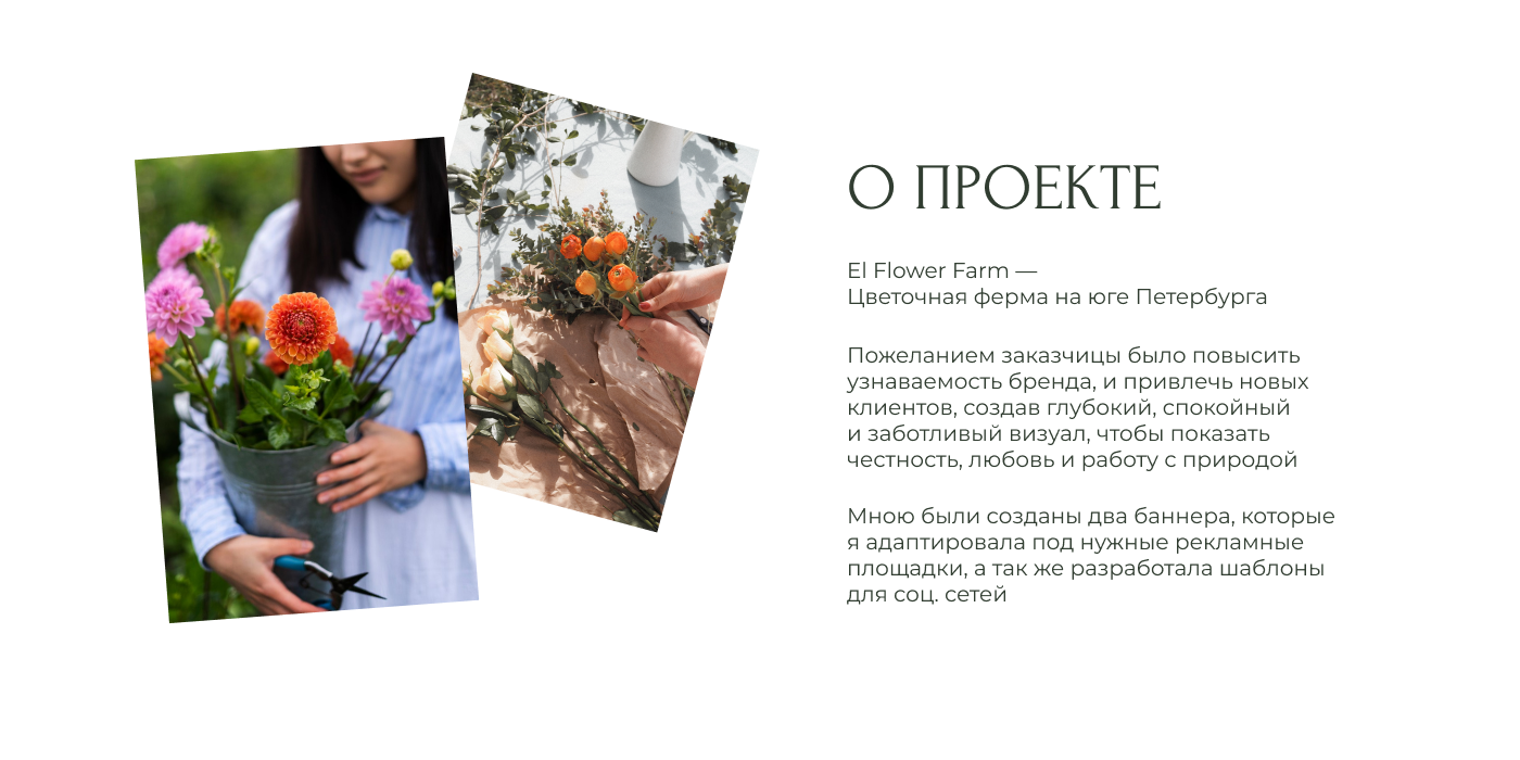 El Flower Farm Banners | Баннеры для цветочной фермы — Изображение №2 — Интерфейсы, Брендинг на Dprofile