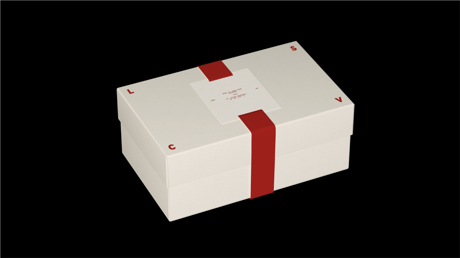 LSCV – Visual Identity — Изображение №6 — Брендинг на Dprofile