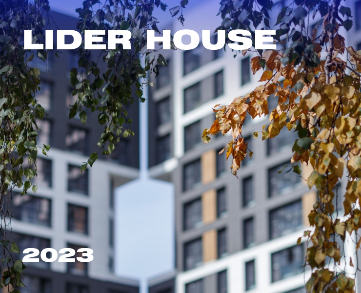 Liderhouse | Landing page на Dprofile