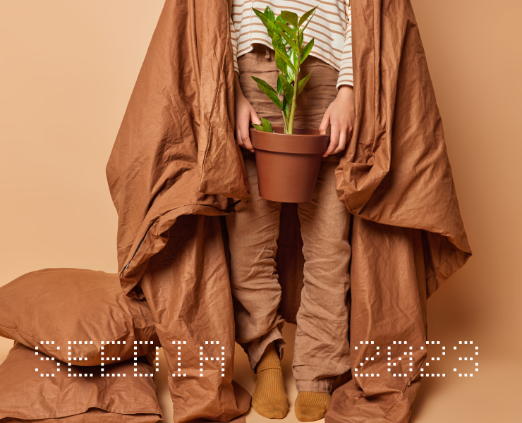 SEEDIA | Corporate website на Dprofile