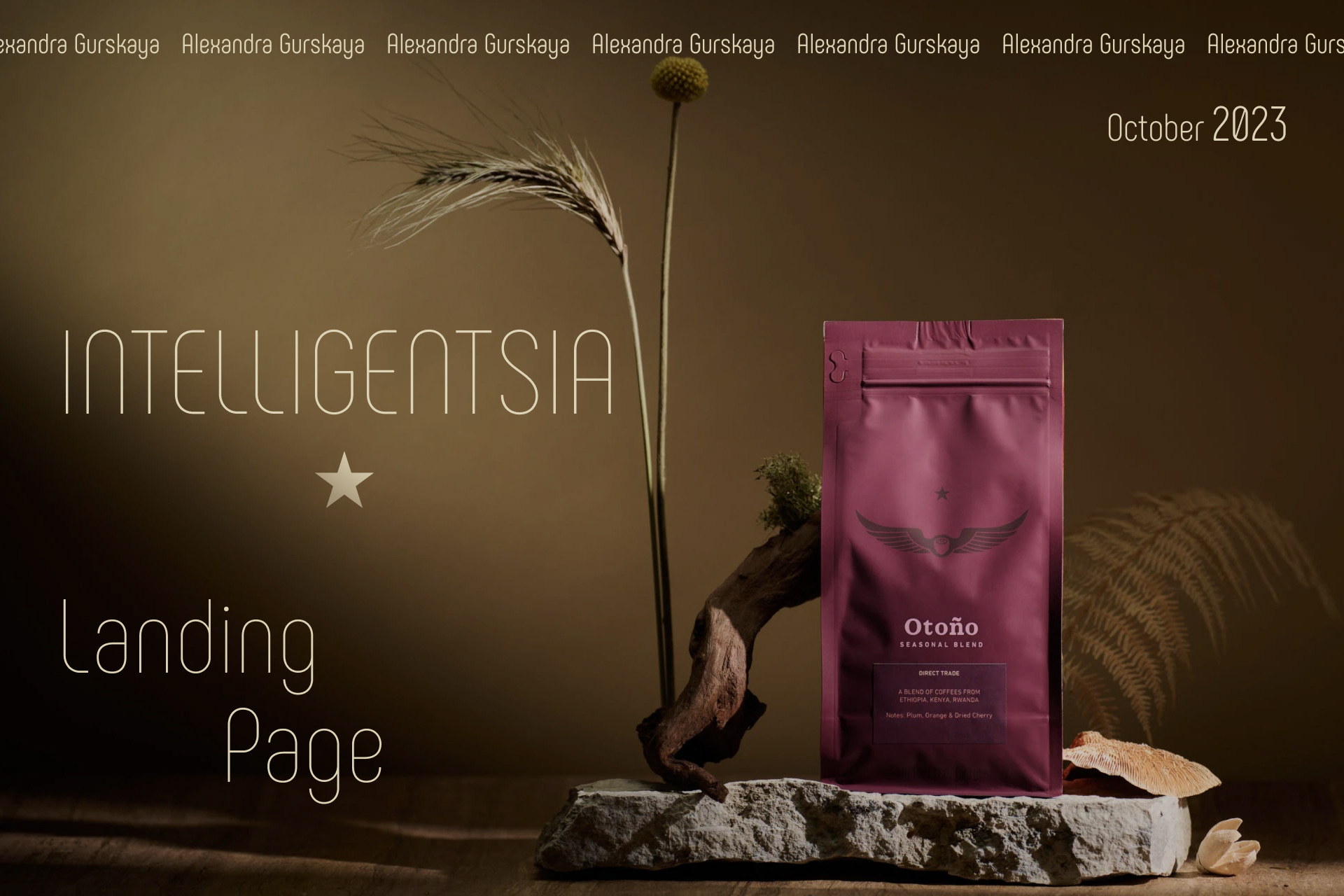 Intelligentsia | Landing page — Изображение №1 — Интерфейсы, Анимация на Dprofile