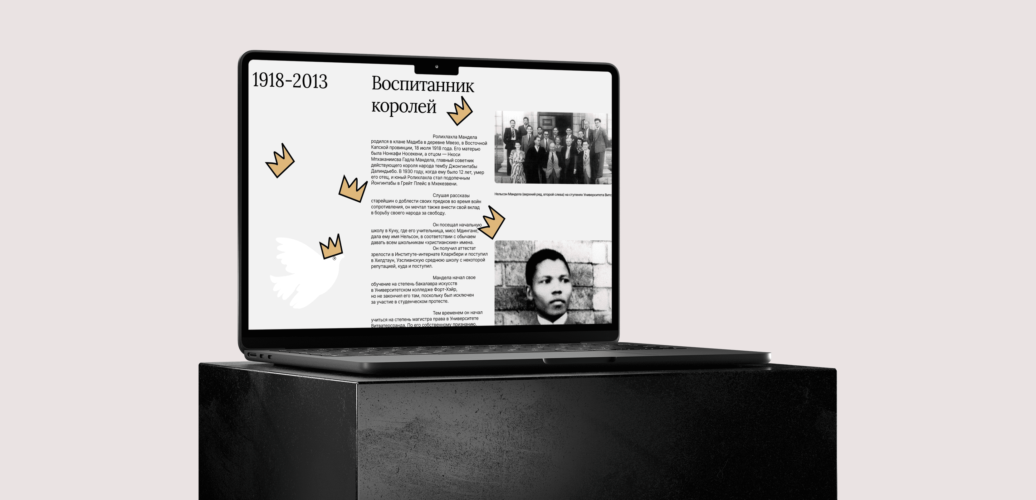 Longread about Nelson Mandela — Изображение №2 — Иллюстрация, Графика на Dprofile
