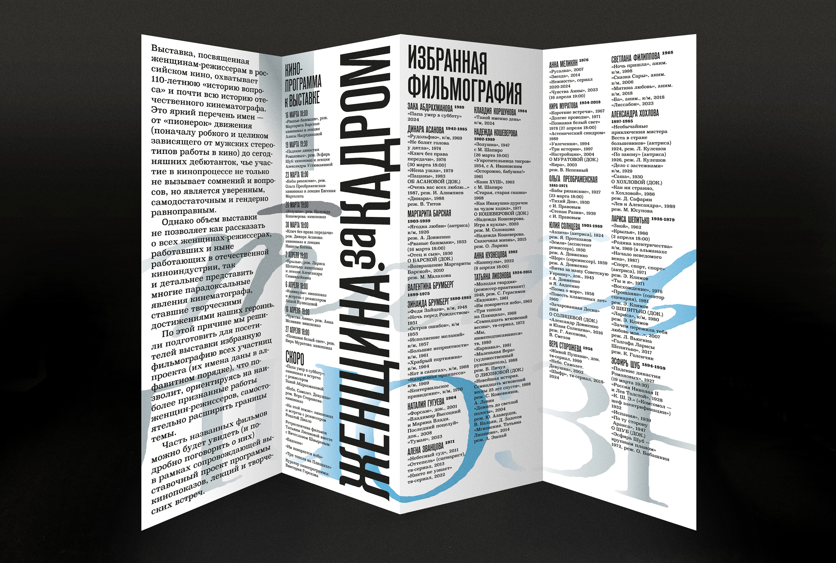 Женщина за кадром — Изображение №11 — Брендинг, Графика на Dprofile