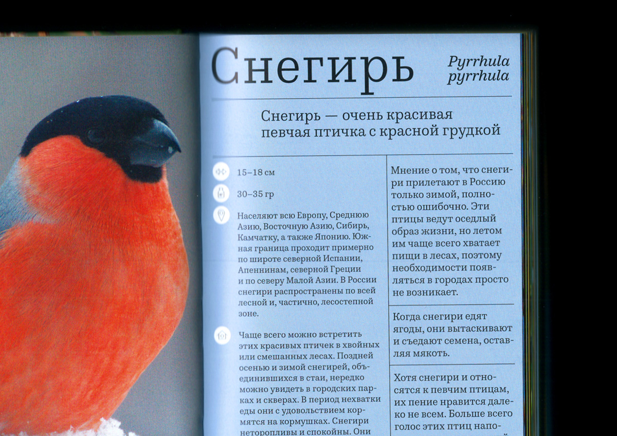 Атлас птиц — Изображение №5 — Графика на Dprofile