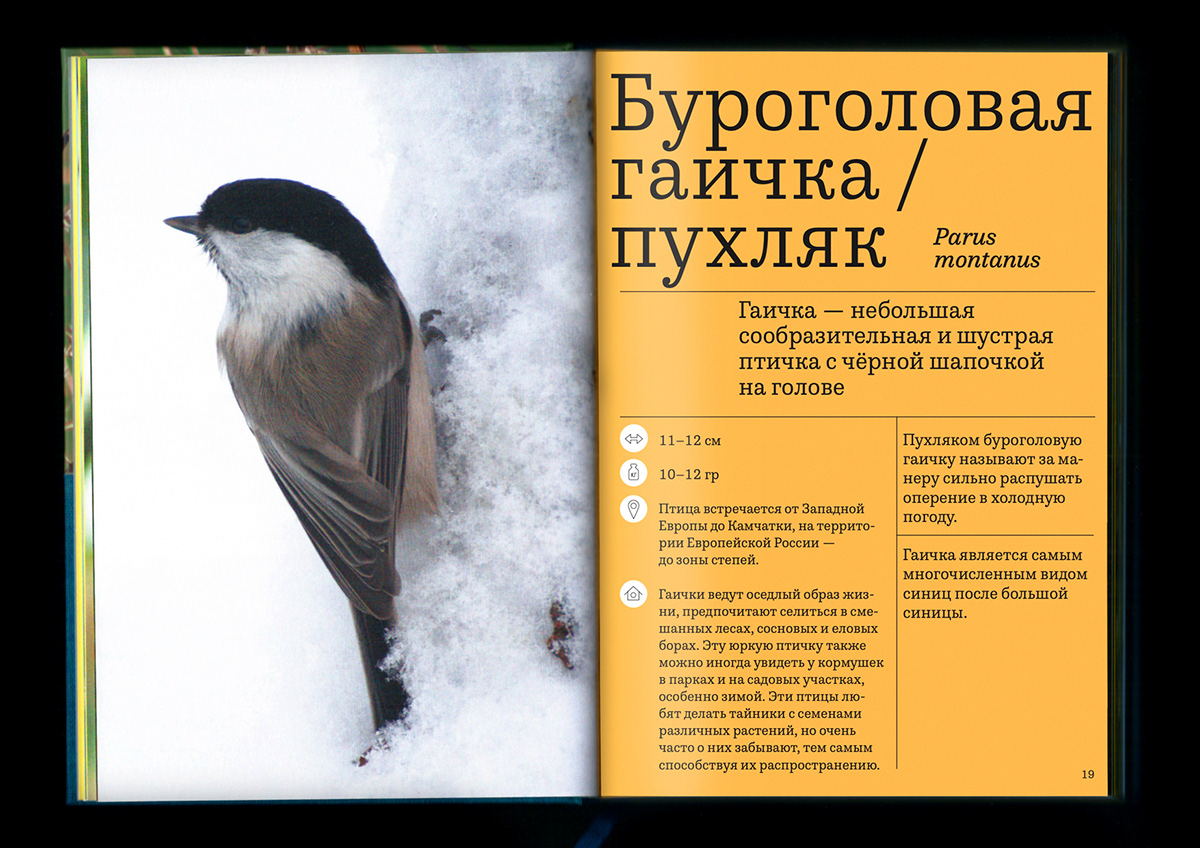 Атлас птиц — Изображение №6 — Графика на Dprofile
