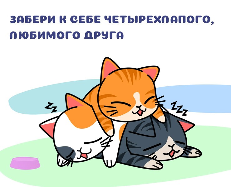 Приют для животных Верность на Dprofile